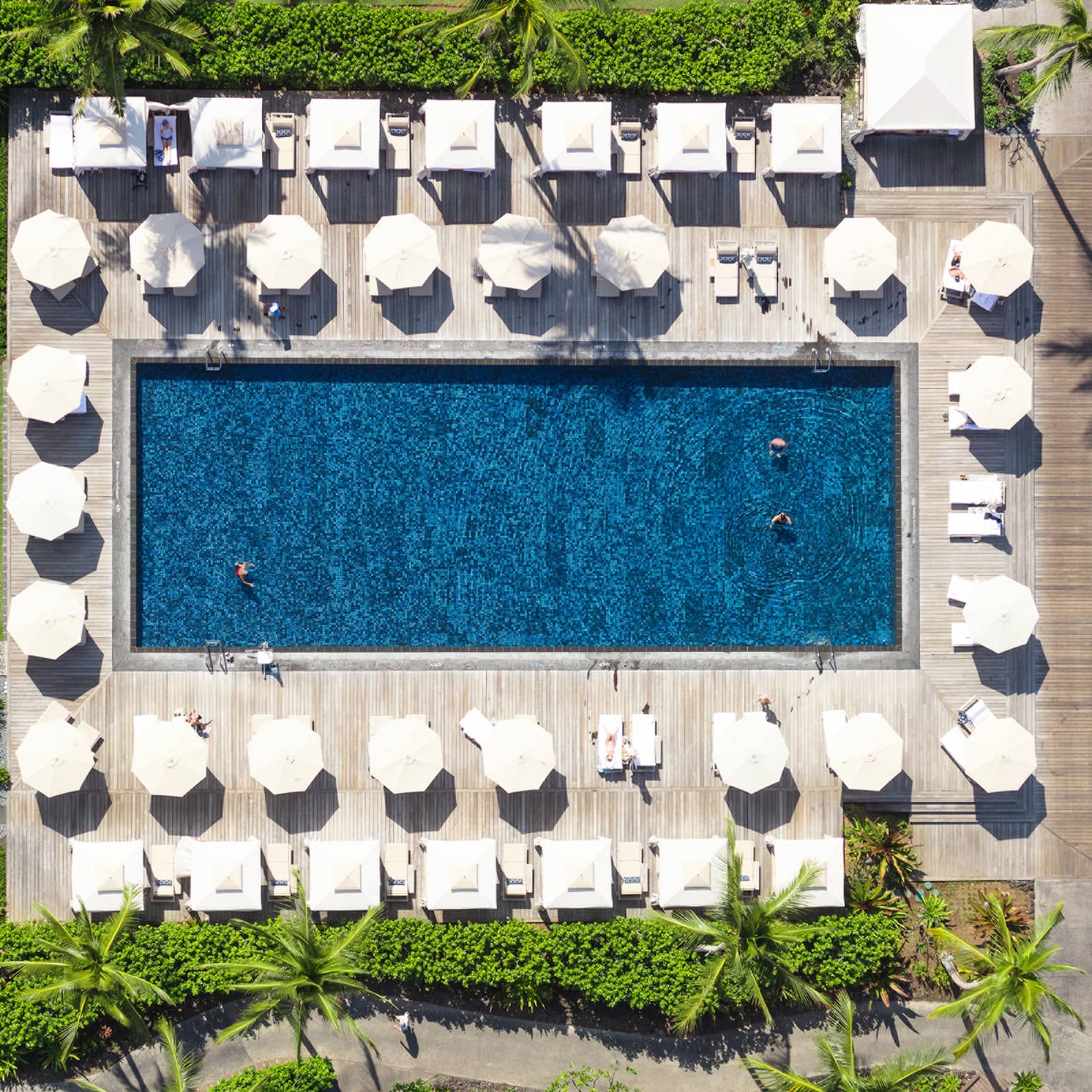 Aerial shot of large rectangular pool surrounded by white umbrellas, cabanas and green lawn
