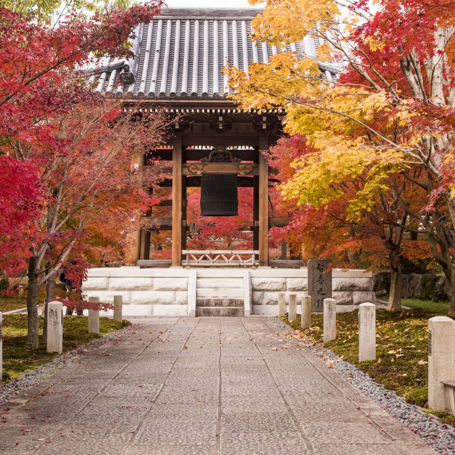red and yellow leafed-trees line a walkway leading to a temple in kyoto