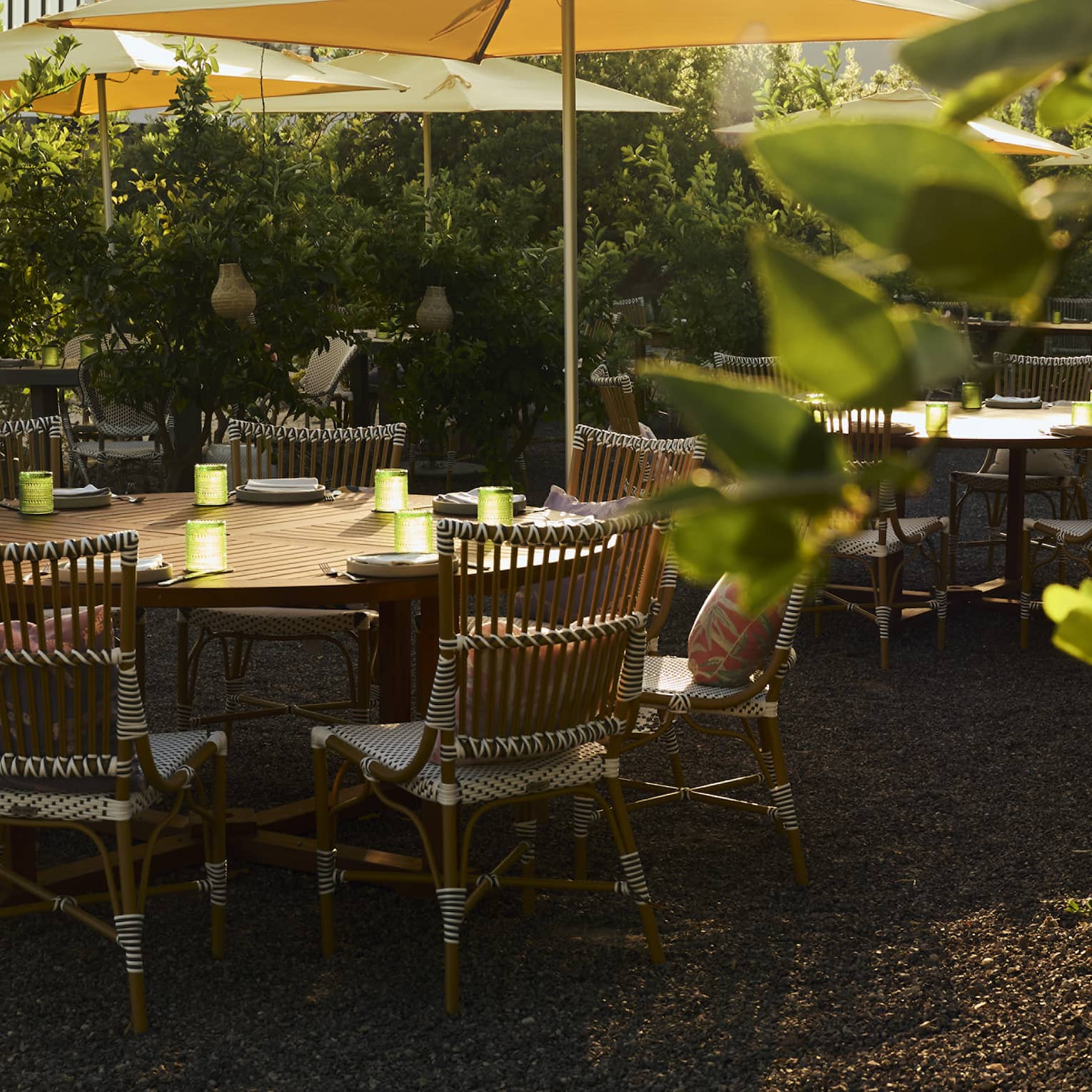 Round outdoor table with rattan chairs in garden setting