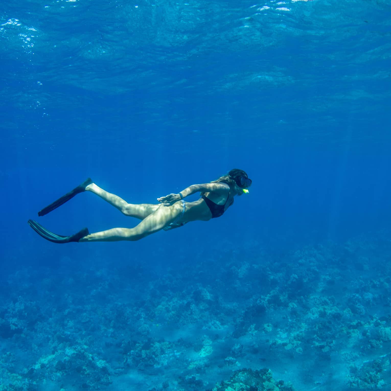 A snorkeller in black flippers and mask explores a rocky coral reef below, as rays of sunlight filter from above the blue water.
