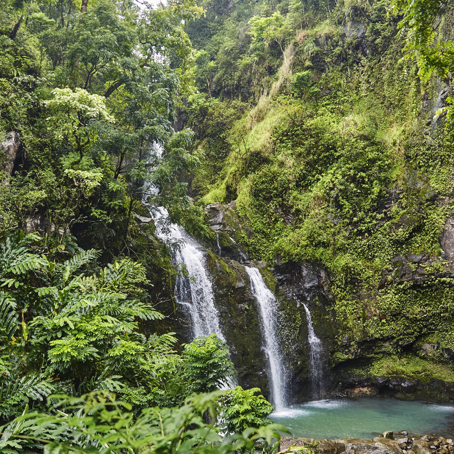Waterfall flows over rock surrounded by lush green tropical forest 