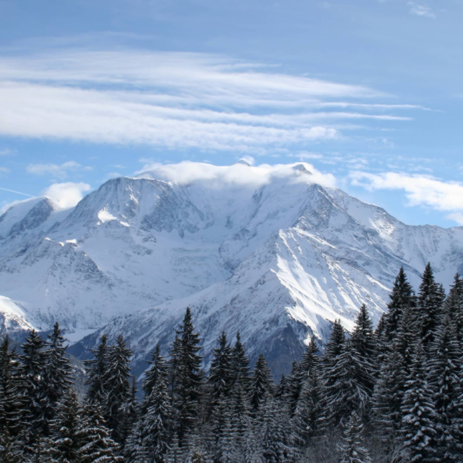 Snowy French Alps mountains over trees