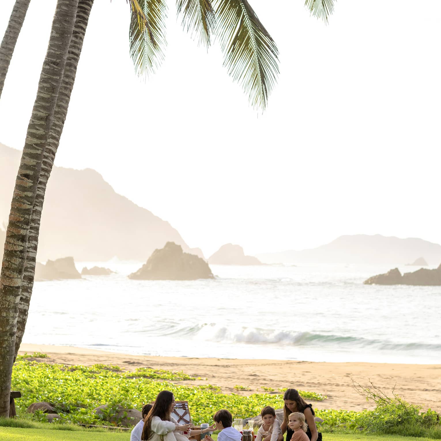 Many guests having a picnic surrounded by palm trees.