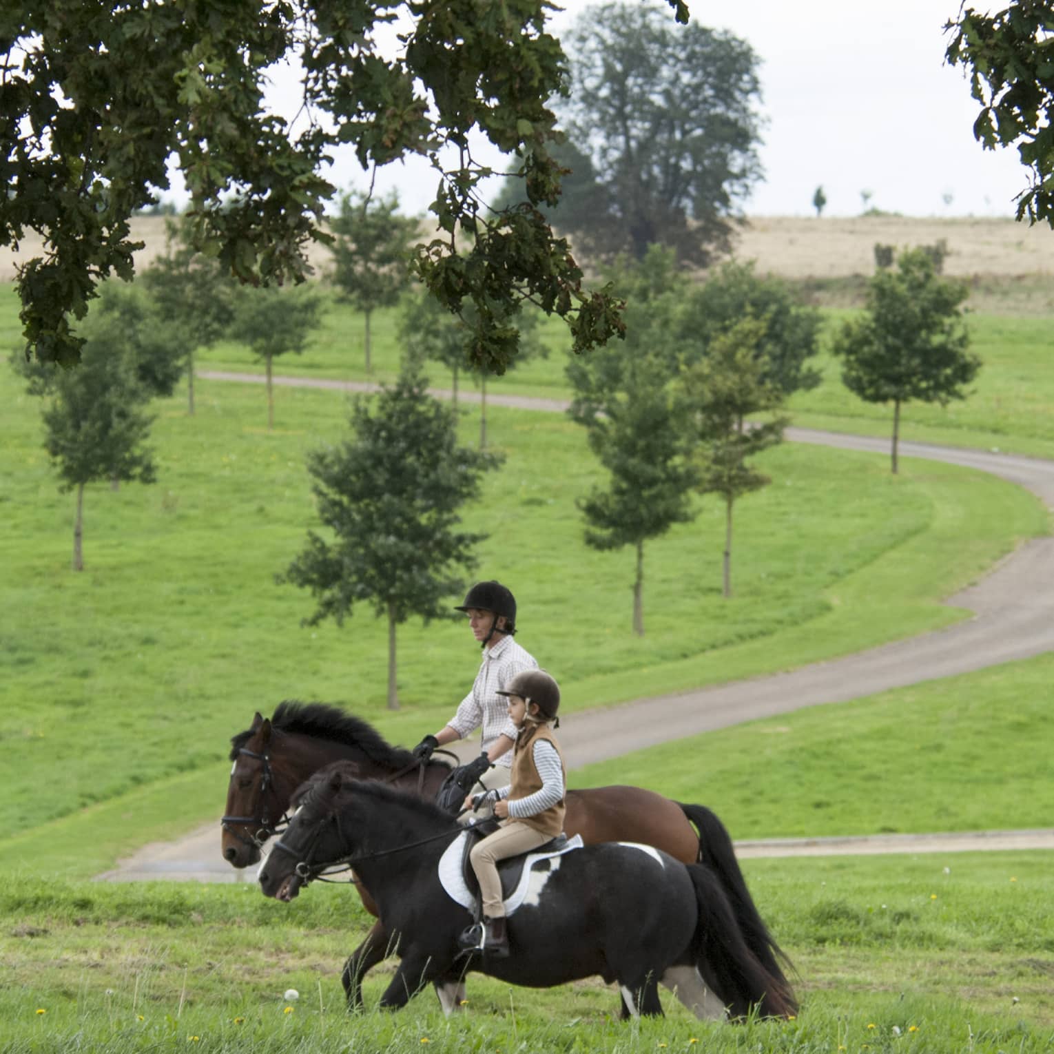 Side view of an adult and a child in helmets, horseback-riding amid trees beside a winding road in lush green countryside.