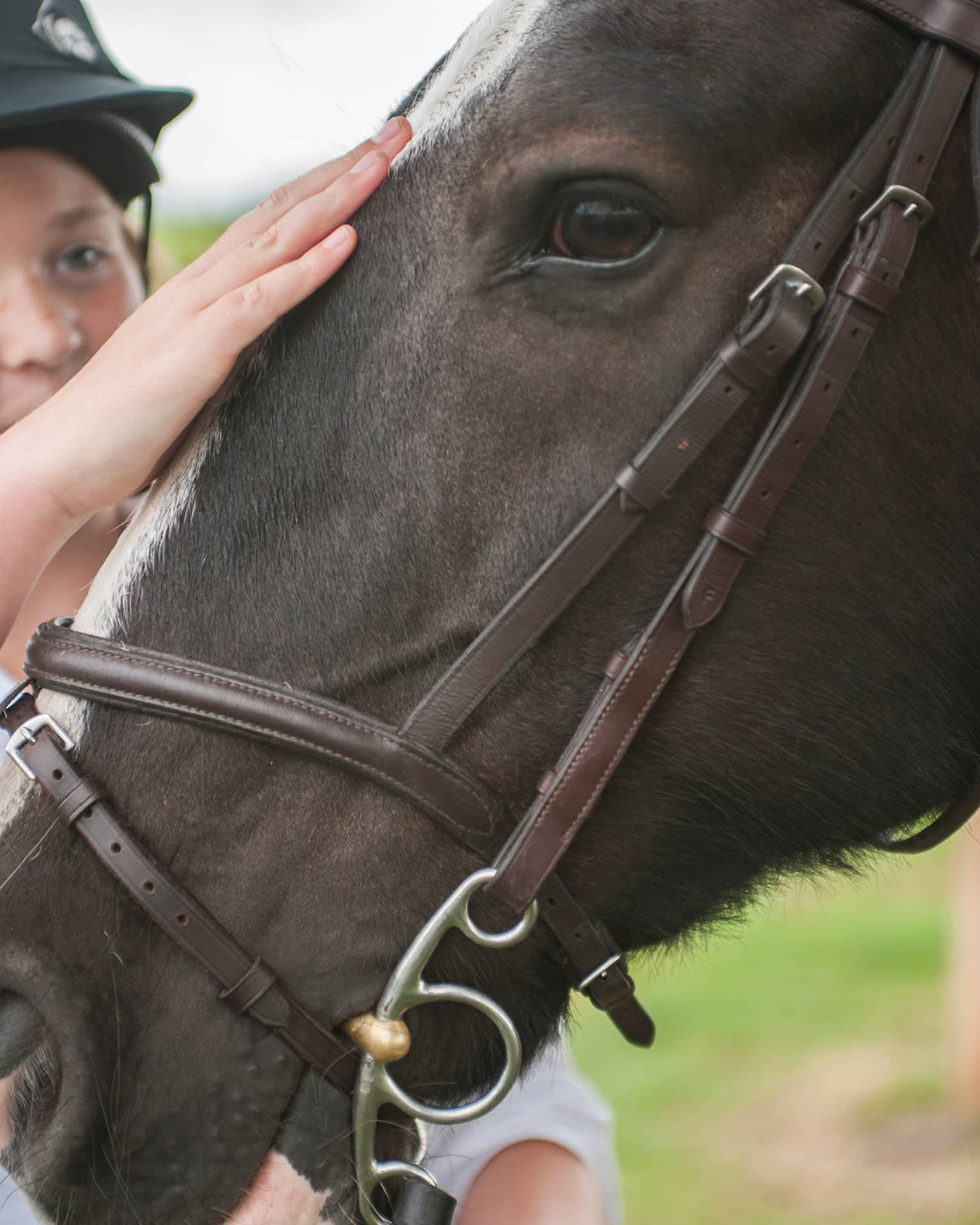 Close-up of child wearing equestrian helmet, petting horse