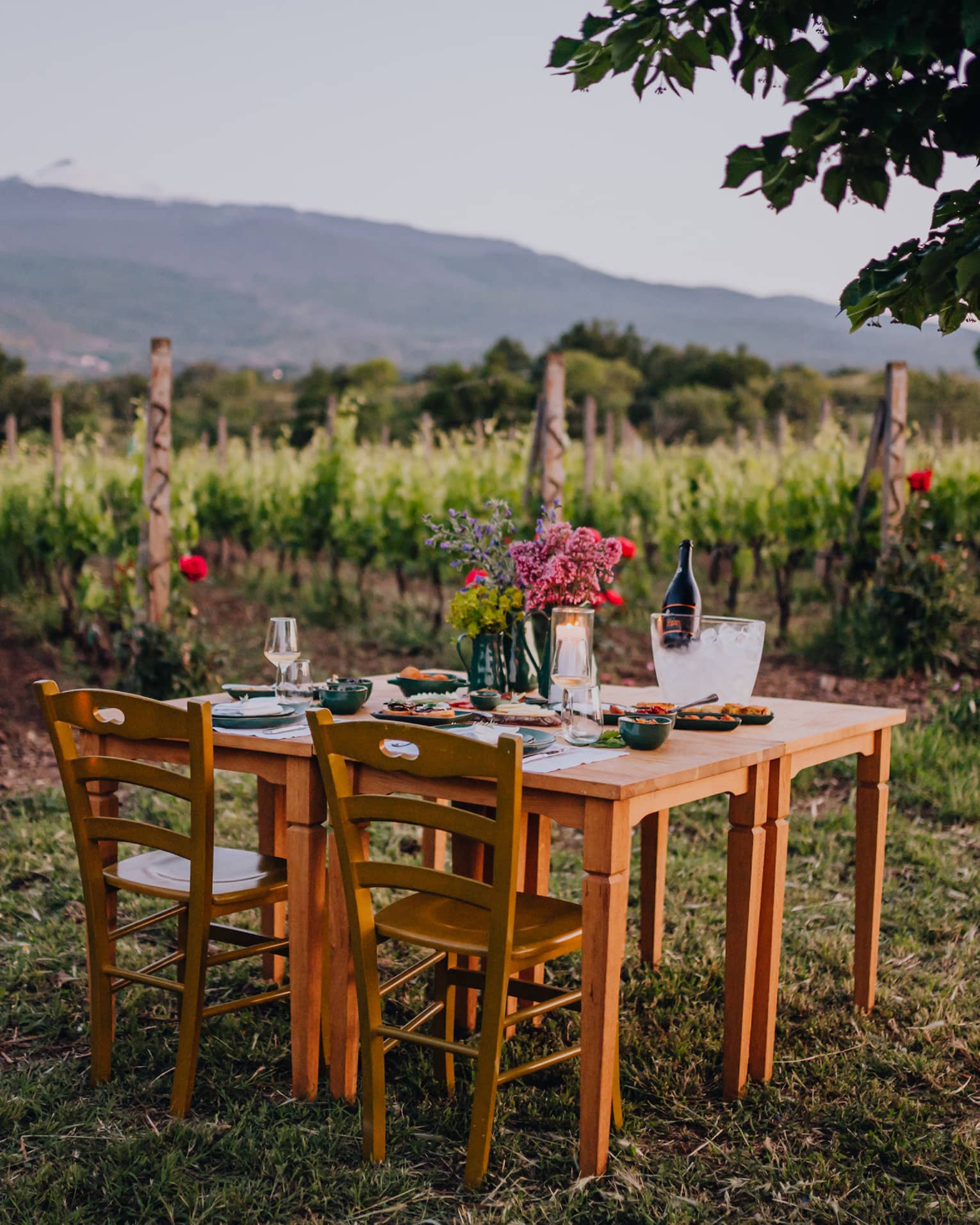 A vineyard table set for two with flowers, wine and glassware, surrounded by rows of grapevines and mountains in the background at sunset.