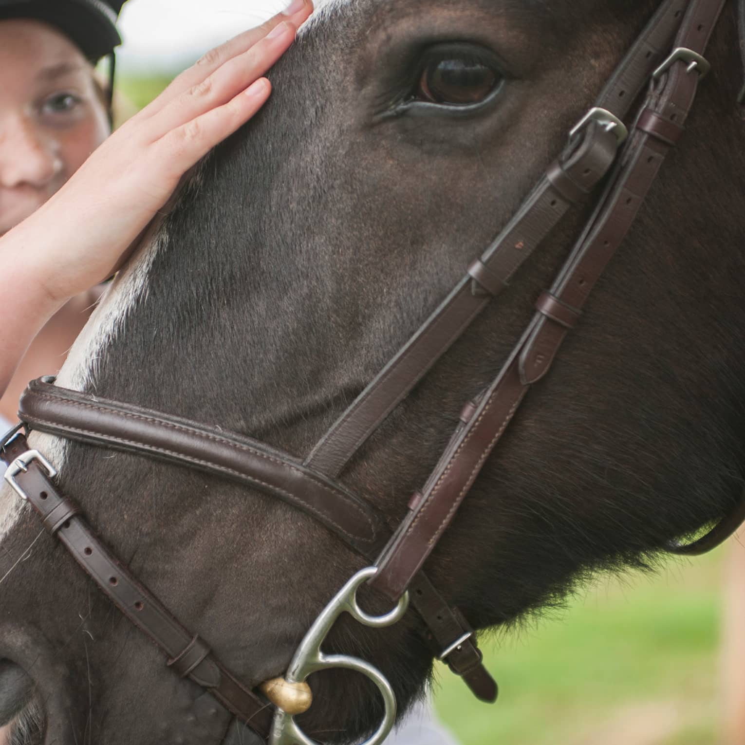 Close-up of child wearing equestrian helmet, petting horse