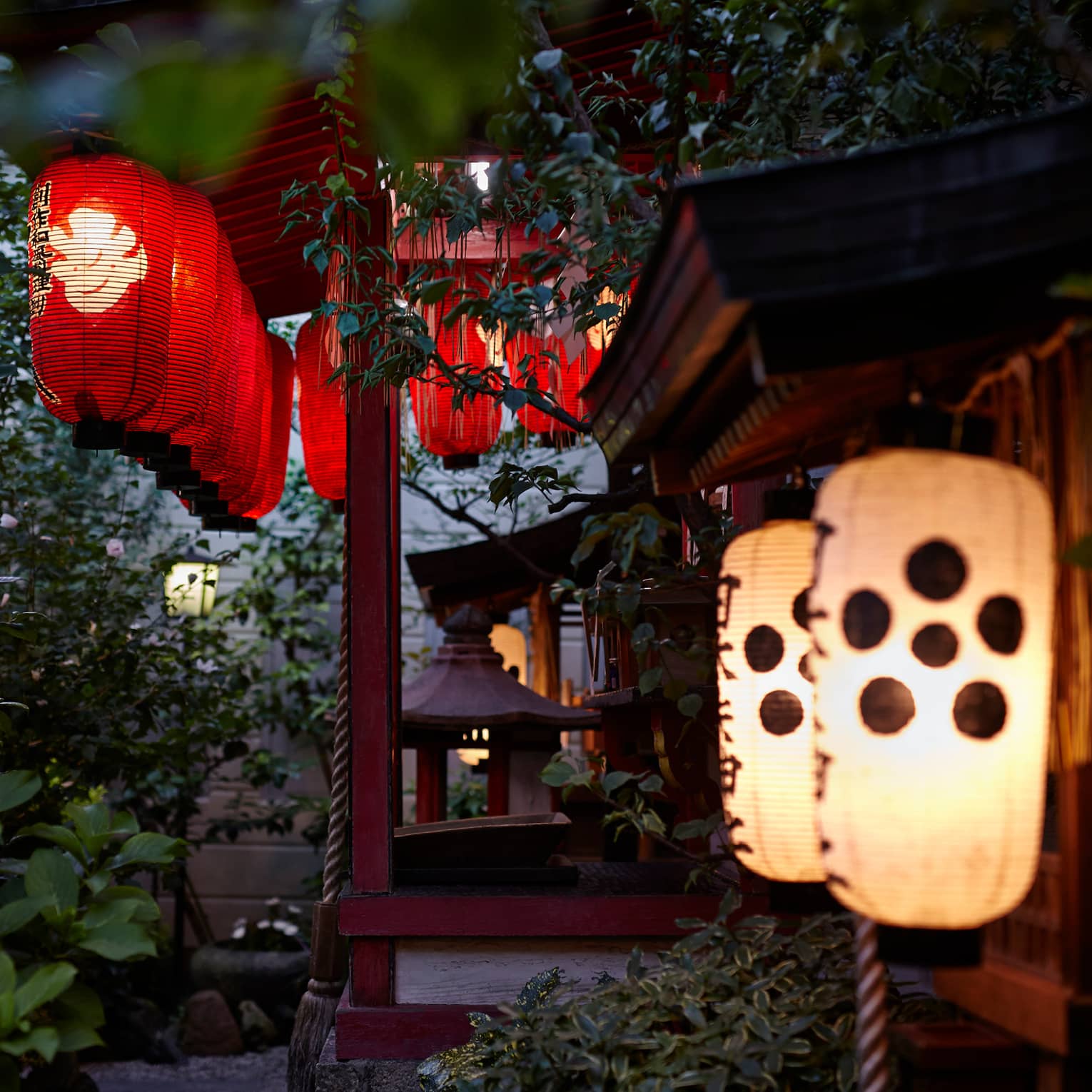 Red and white Japanese paper lanterns hanging from trees at night