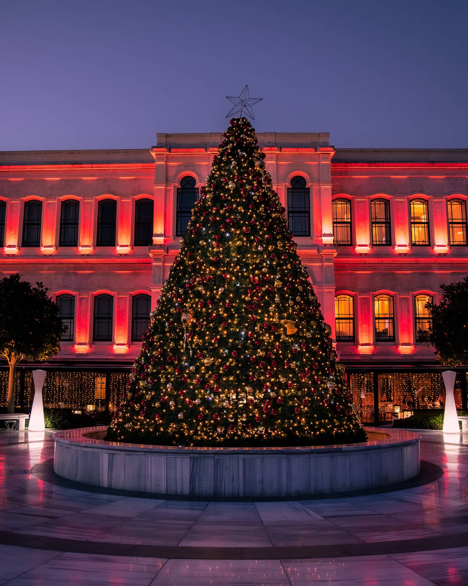 Hotel exterior illuminated in red with large Christmas tree in forefront