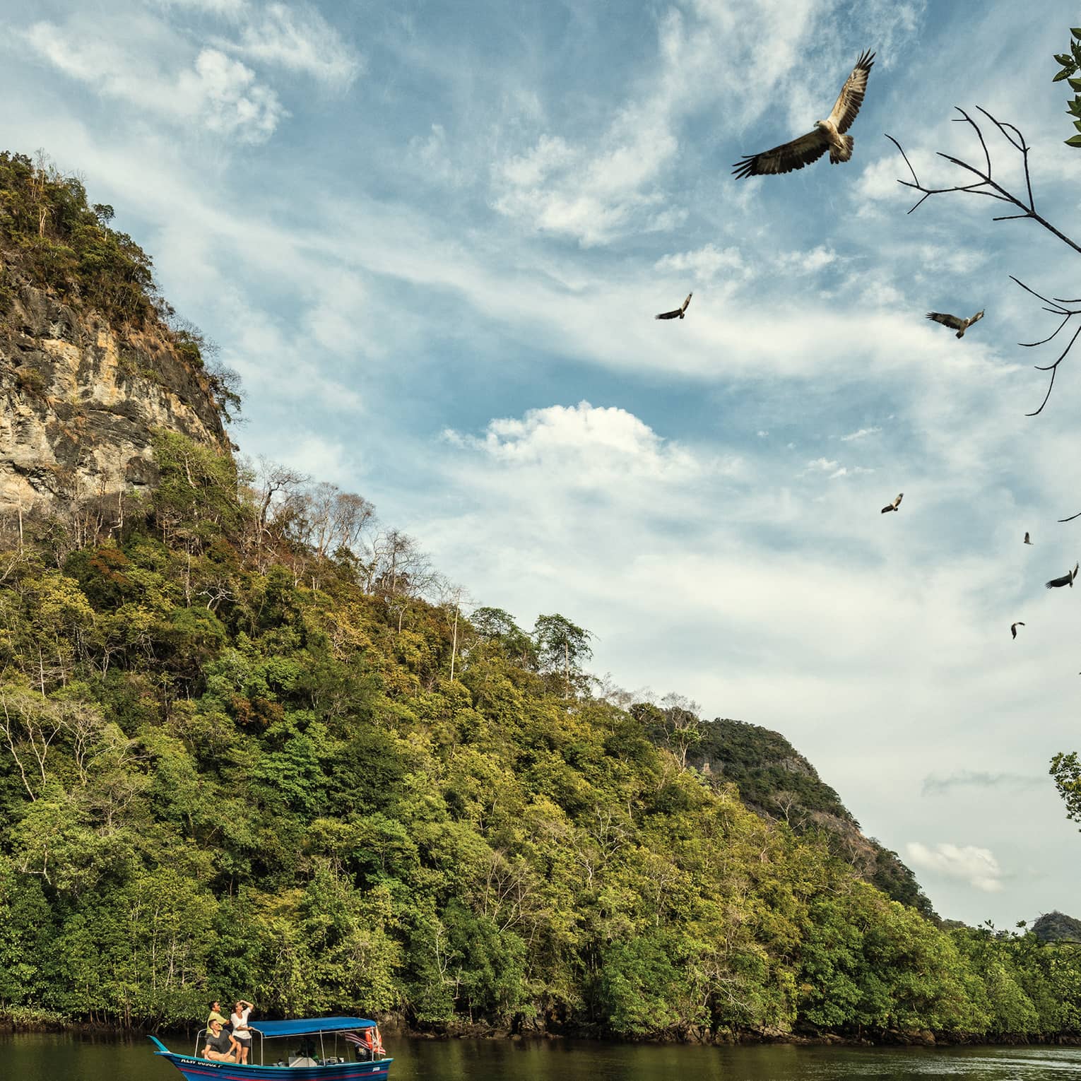 A majestic mountain rainforest looms behind tourists in a small, canopied riverboat as they watch eagles soaring high above.