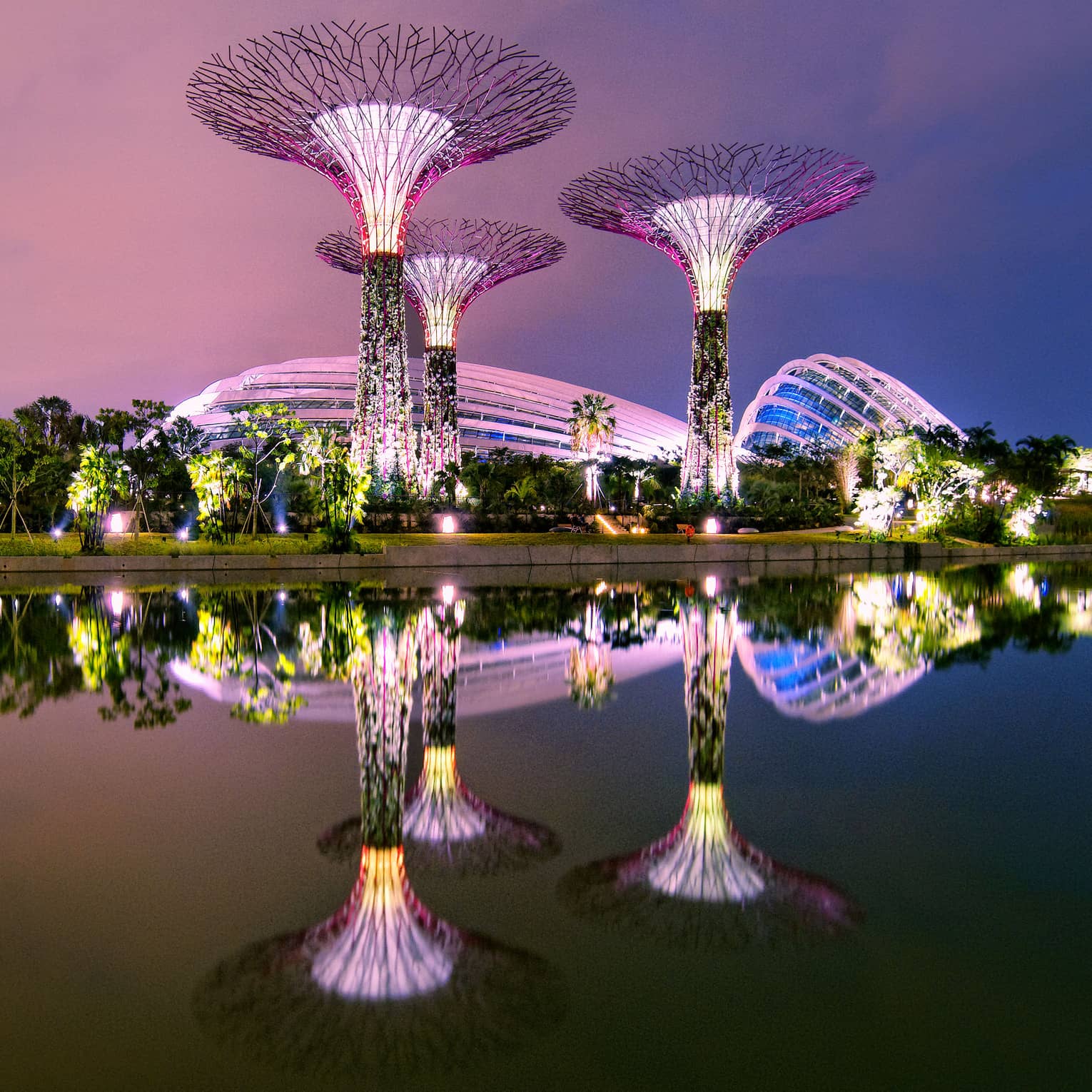 Gardens by the Bay in Singapore reflected in the water at night
