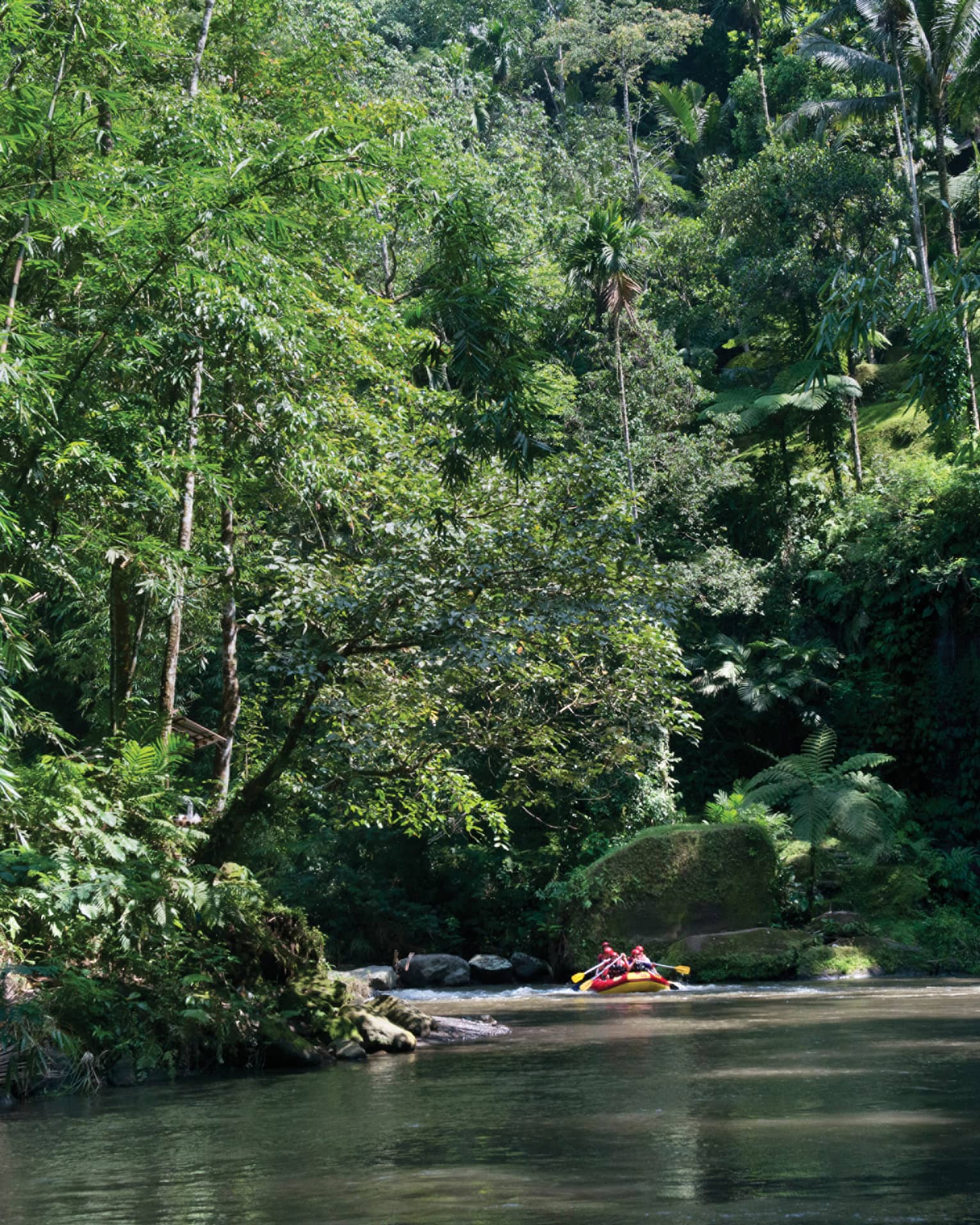 People water rafting along Ayung River beneath trees 