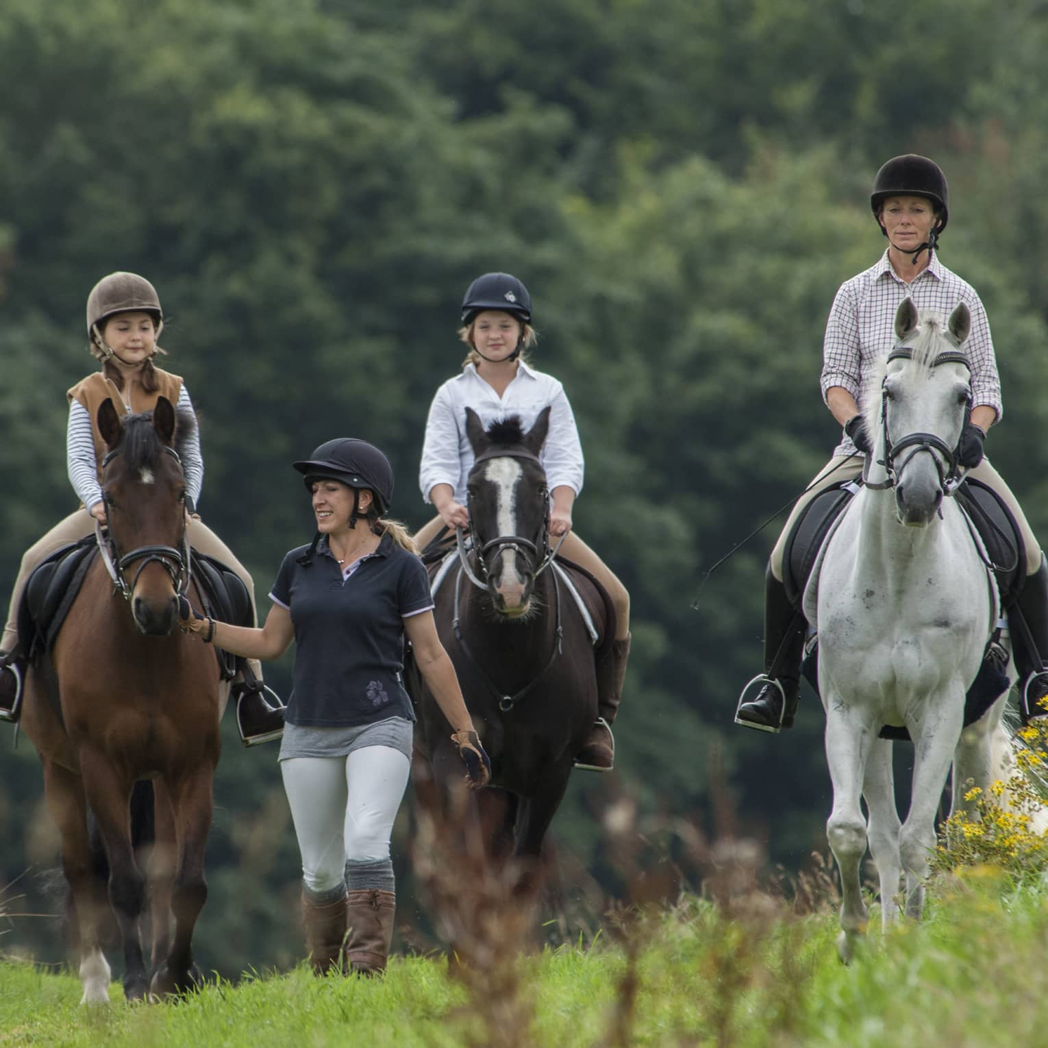 Three children wearing equestrian-style helmets, riding on horseback and led by trainer