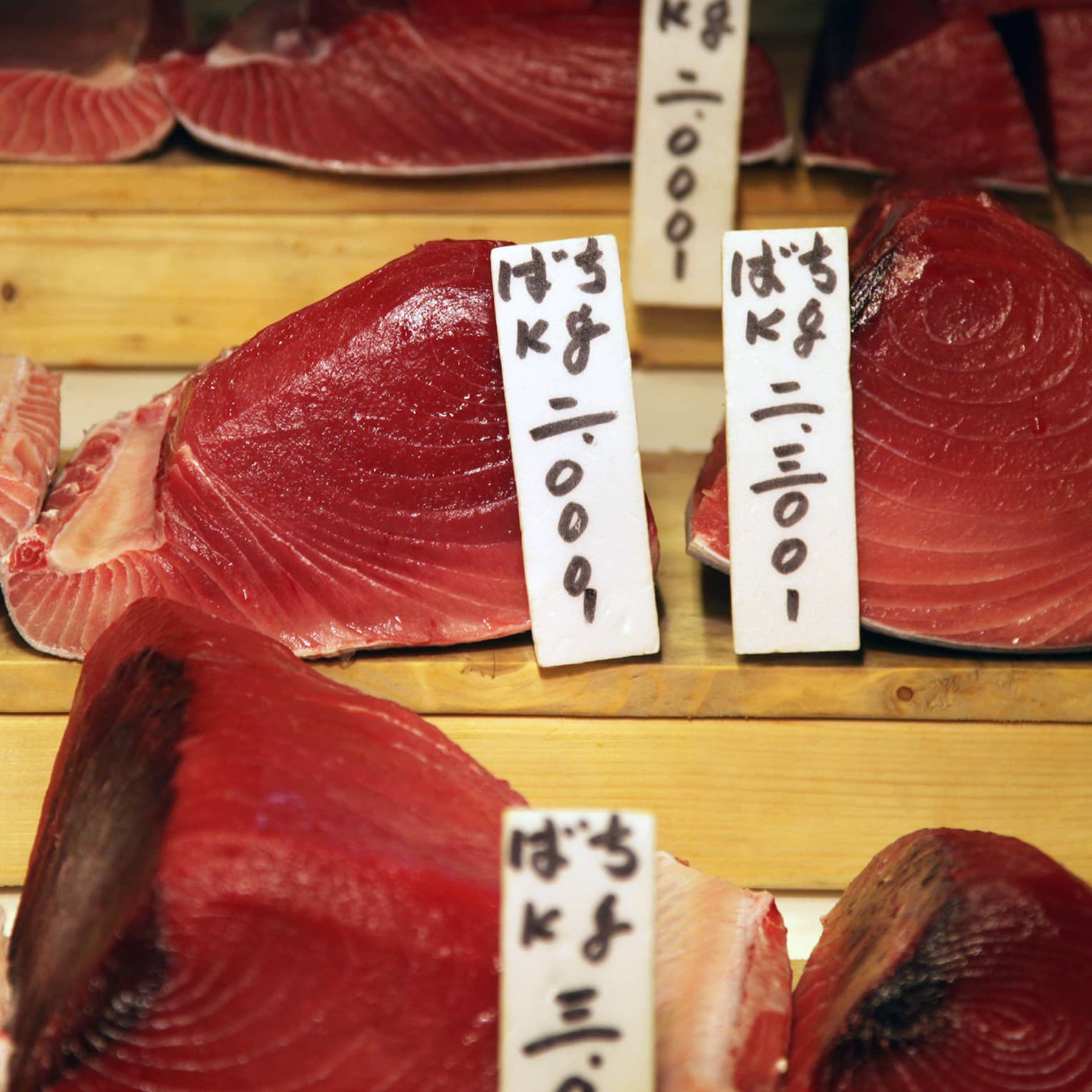Close-up view of labelled cuts of glistening, pinky-red fresh tuna displayed on three levels of wooden risers.