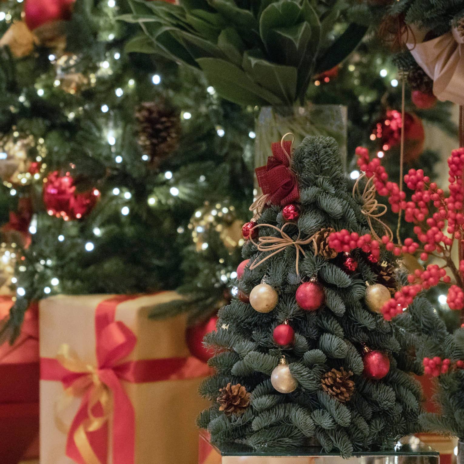 Close-up of a miniature Christmas tree adorned with pine cones sitting under a larger tree with gold-and-red wrapped gifts.
