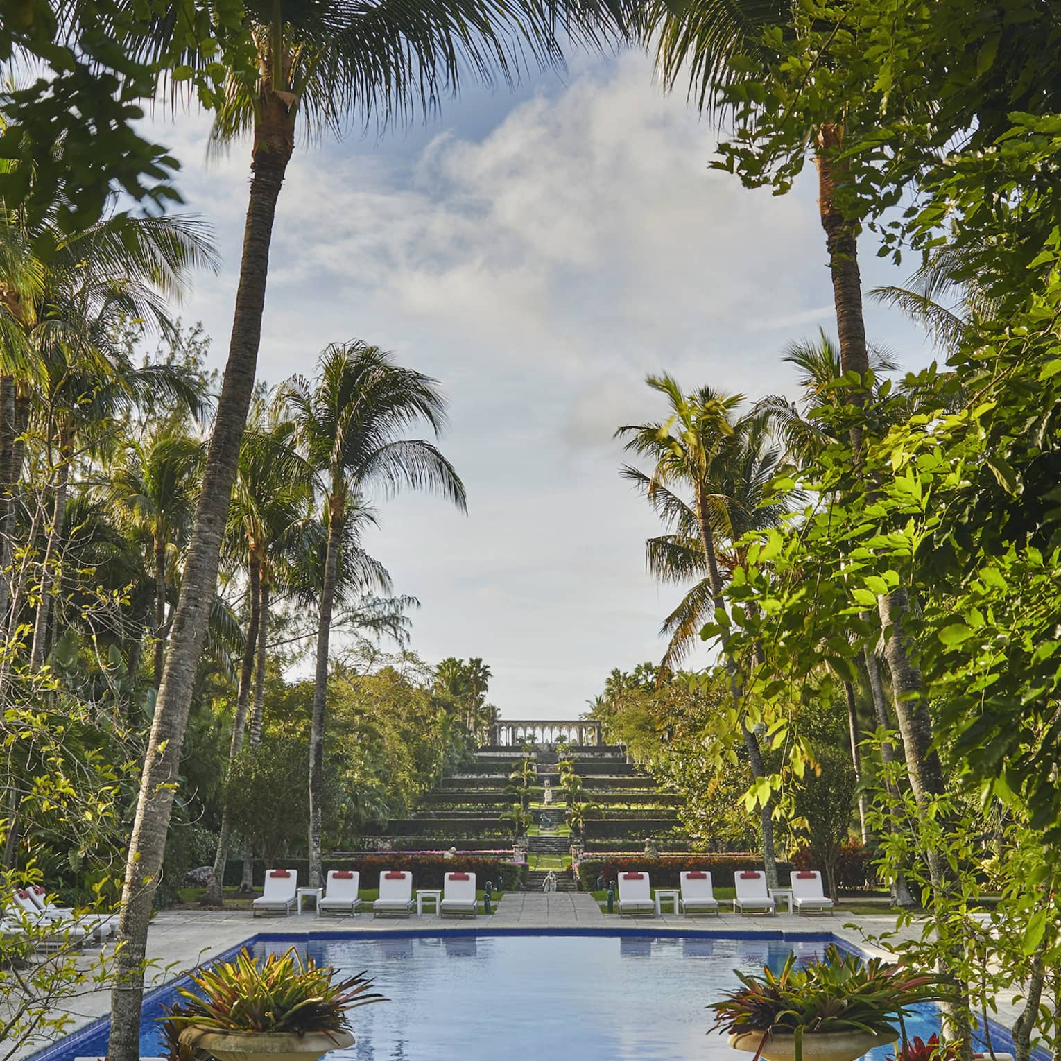 Luxury resort pool with lounge chairs surrounded by tall palm trees and lush greenery