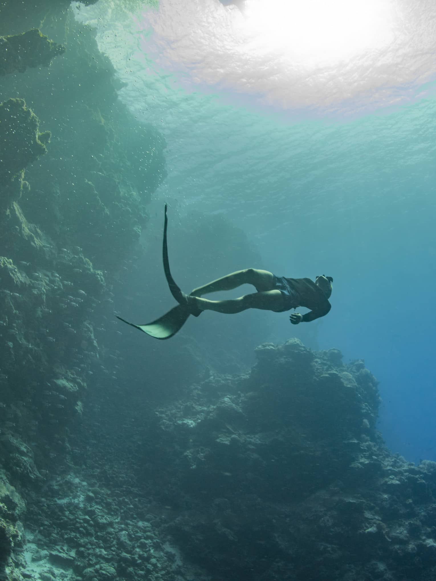 Scuba diver swims near a cave underwater