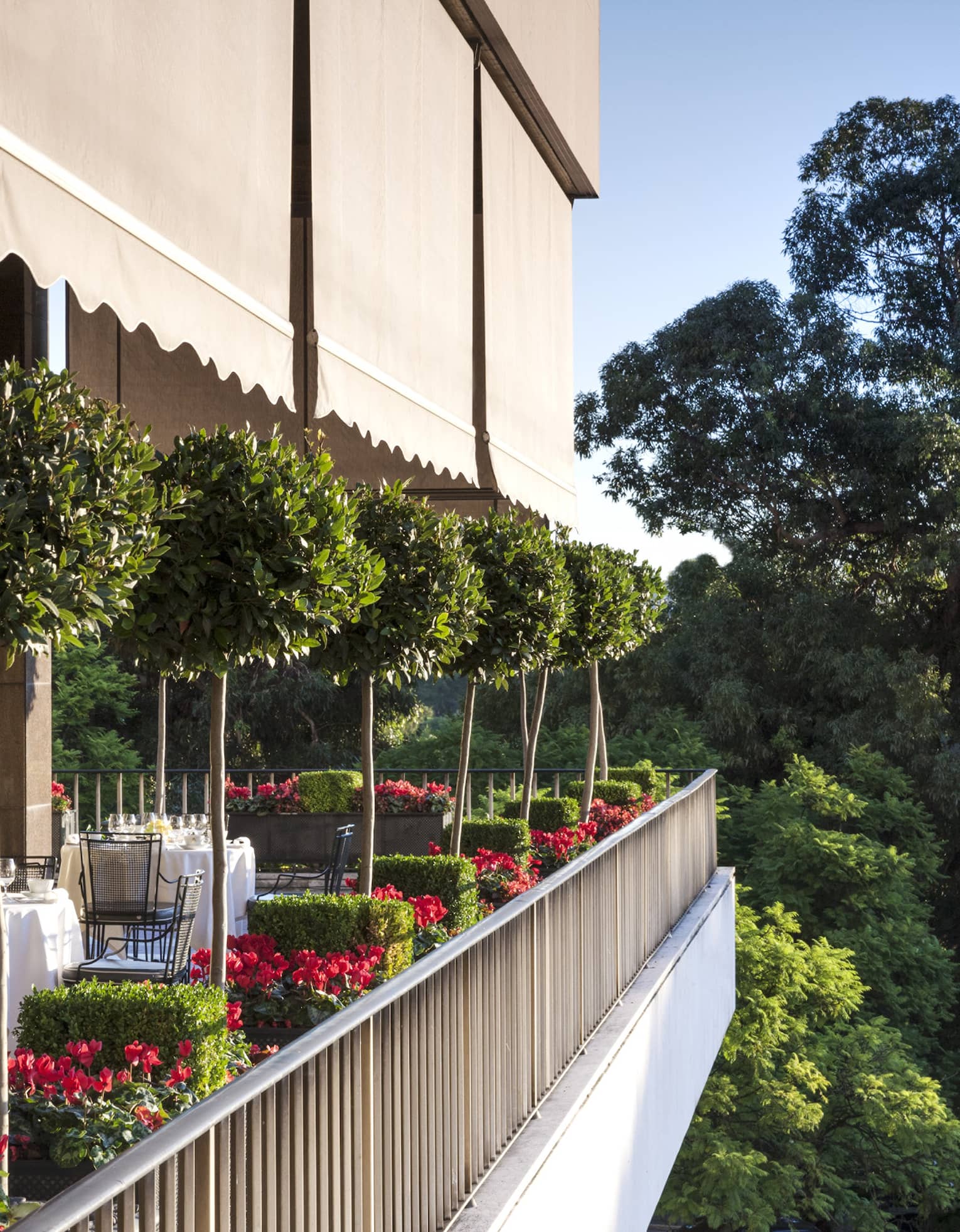 Veranda Terrace Side view of patio dining tables, potted trees 