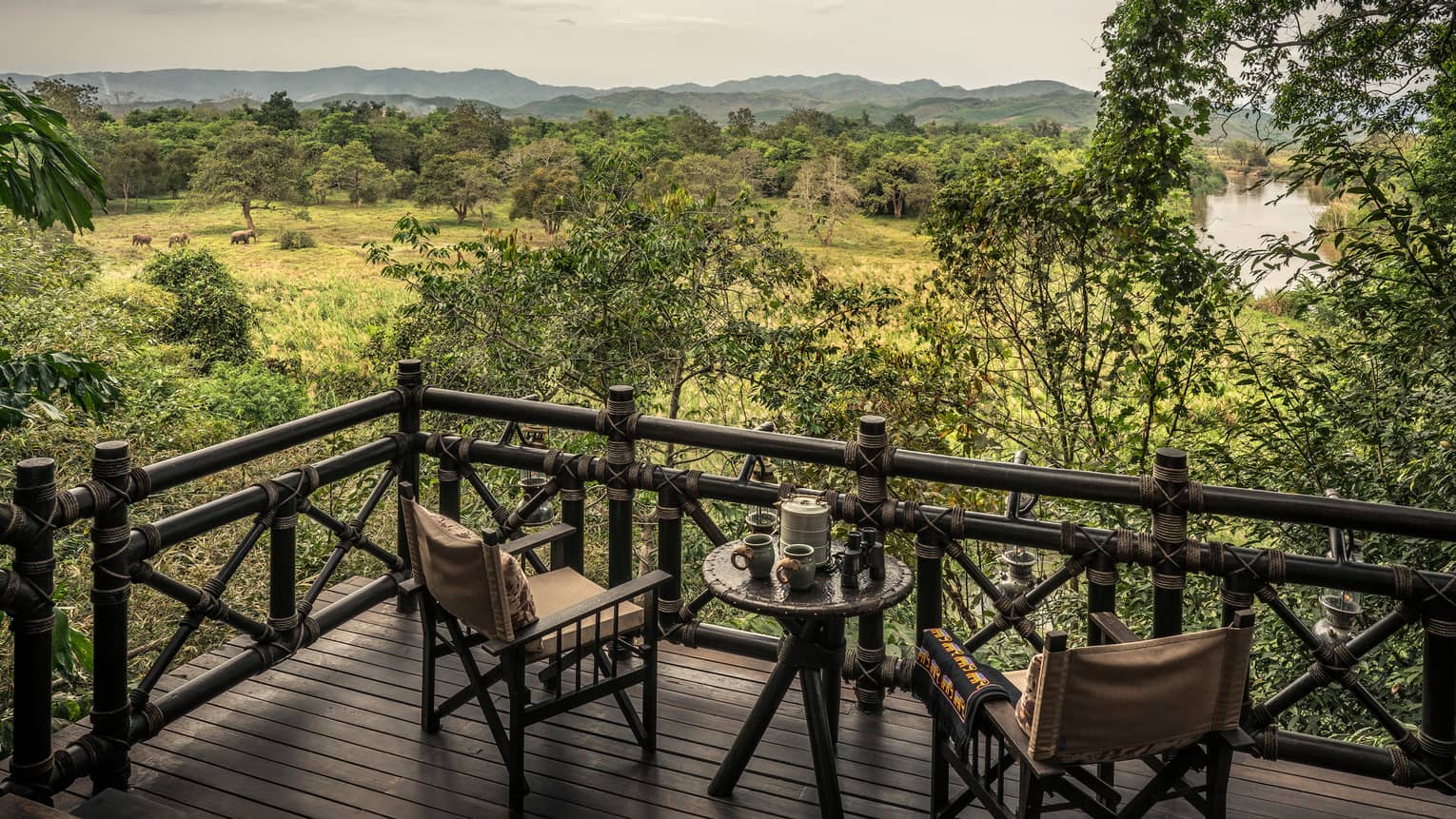 Wood chairs on balcony, looking out at green field with roaming elephants