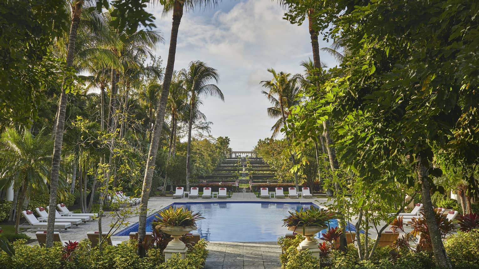 Luxury resort pool with lounge chairs surrounded by tall palm trees and lush greenery