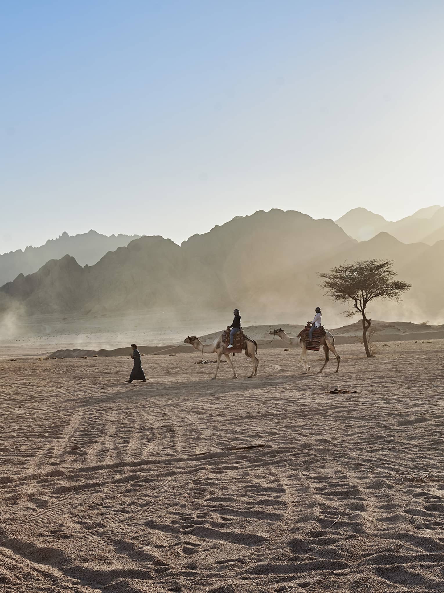 People riding a camel in the desert near resort