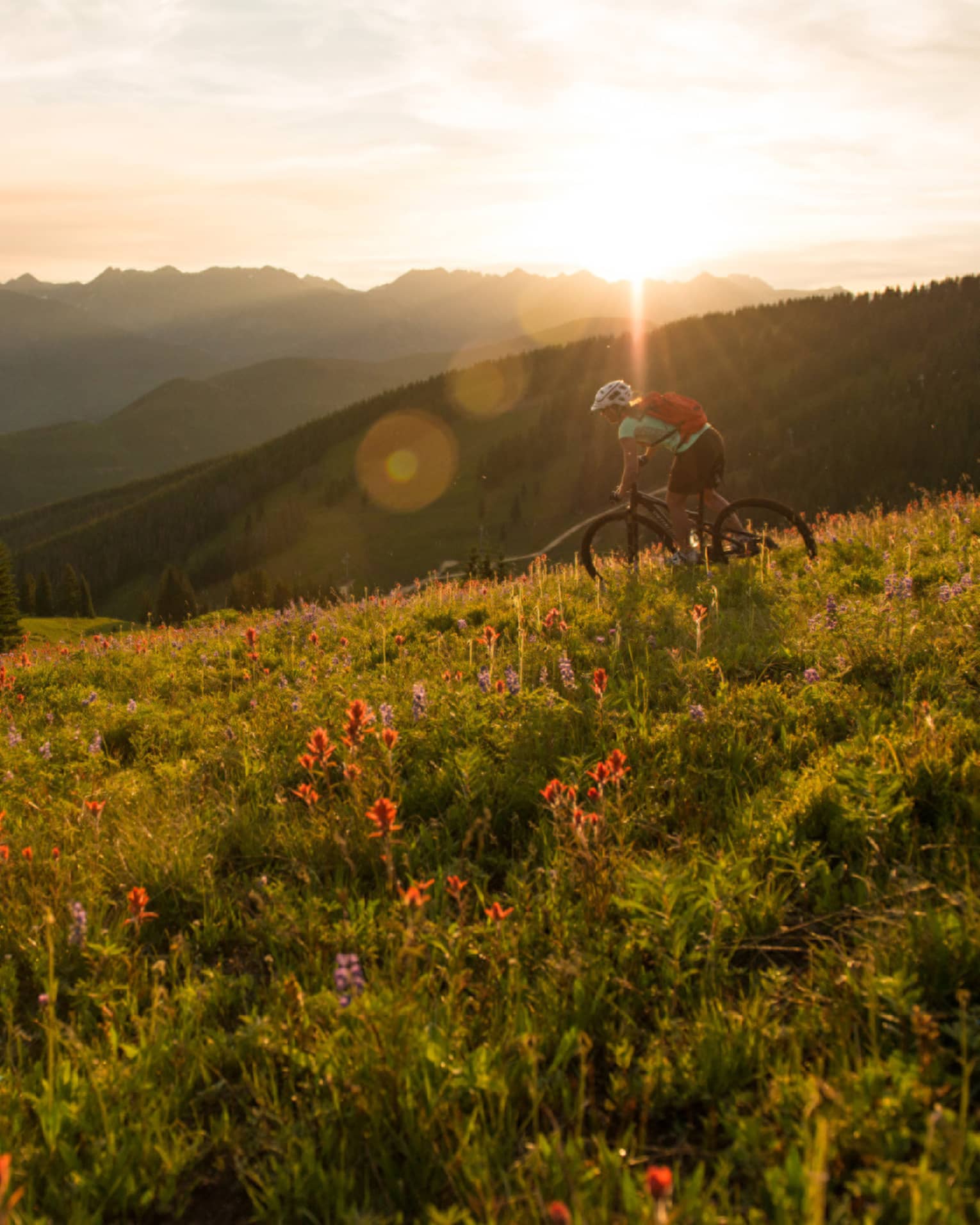 Sun sets over mountain meadow