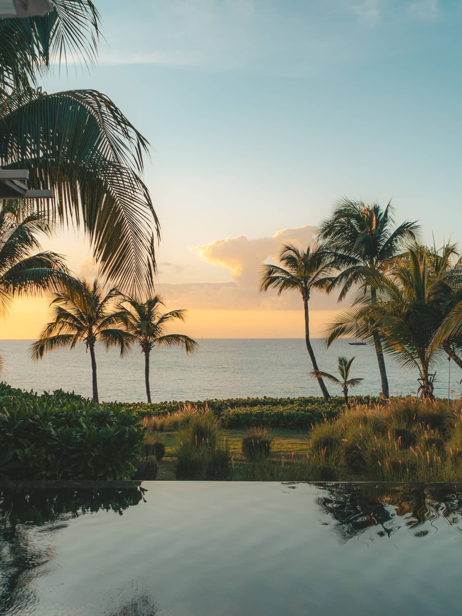 Infinity pool overlooking the ocean at sunset, with palm trees and lush tropical landscaping