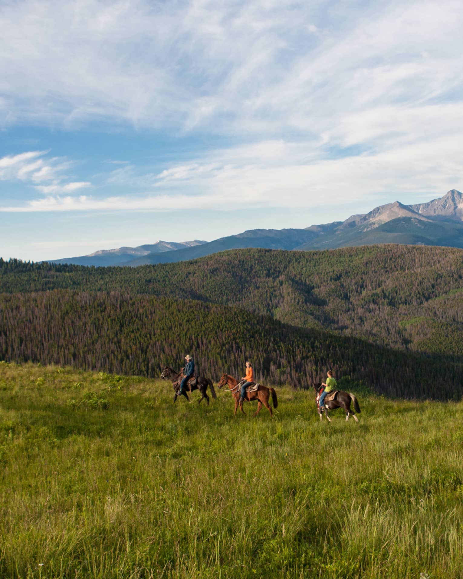 A group of people on horseback riding along grass and hills.