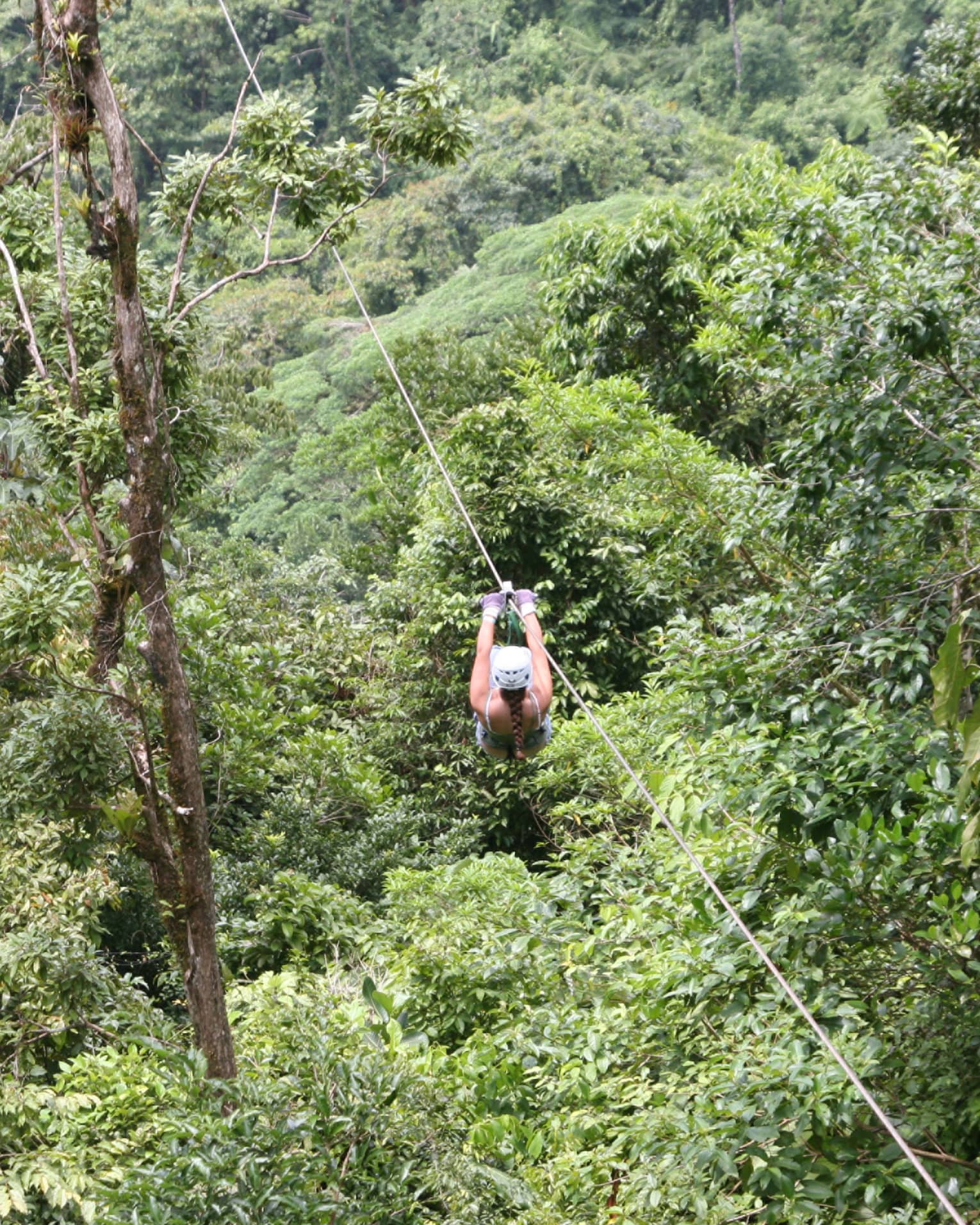 Aerial view of a person zip-lining through dense forest. Gripping the handlebars, the adventurer soars above towering trees.