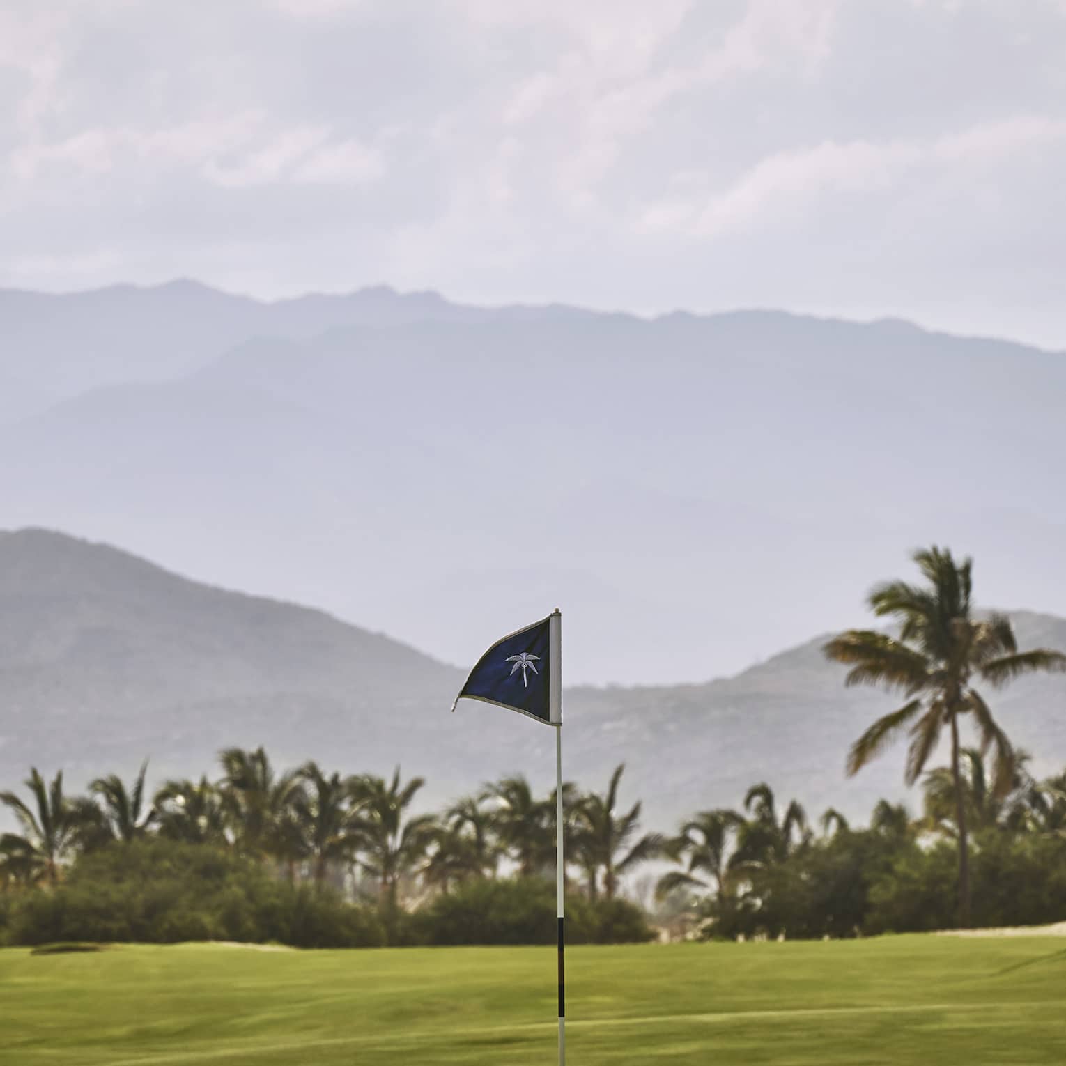 A putting green with a view of tropical trees and mountains behind