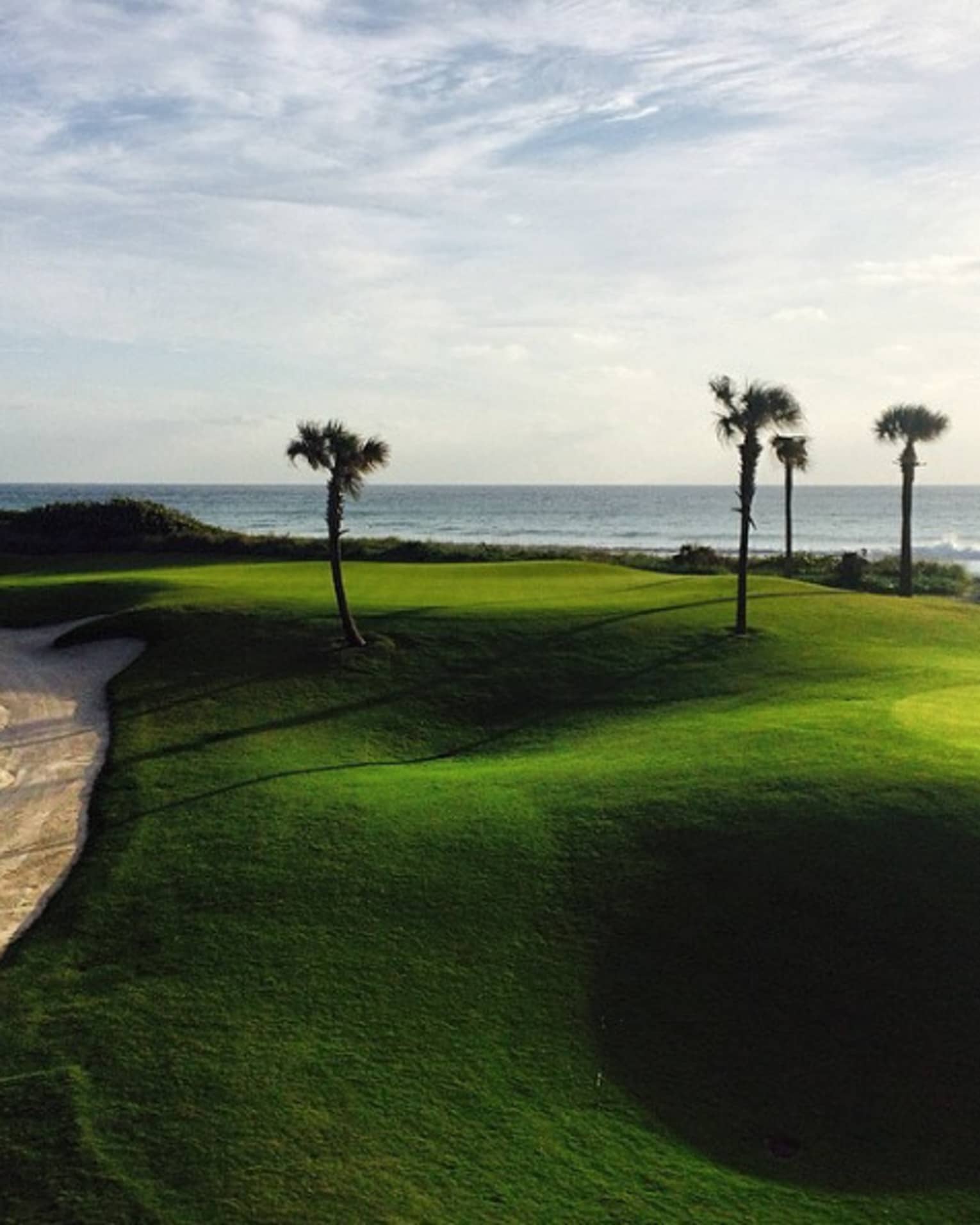 Sprawling green golf course with four palm trees by ocean