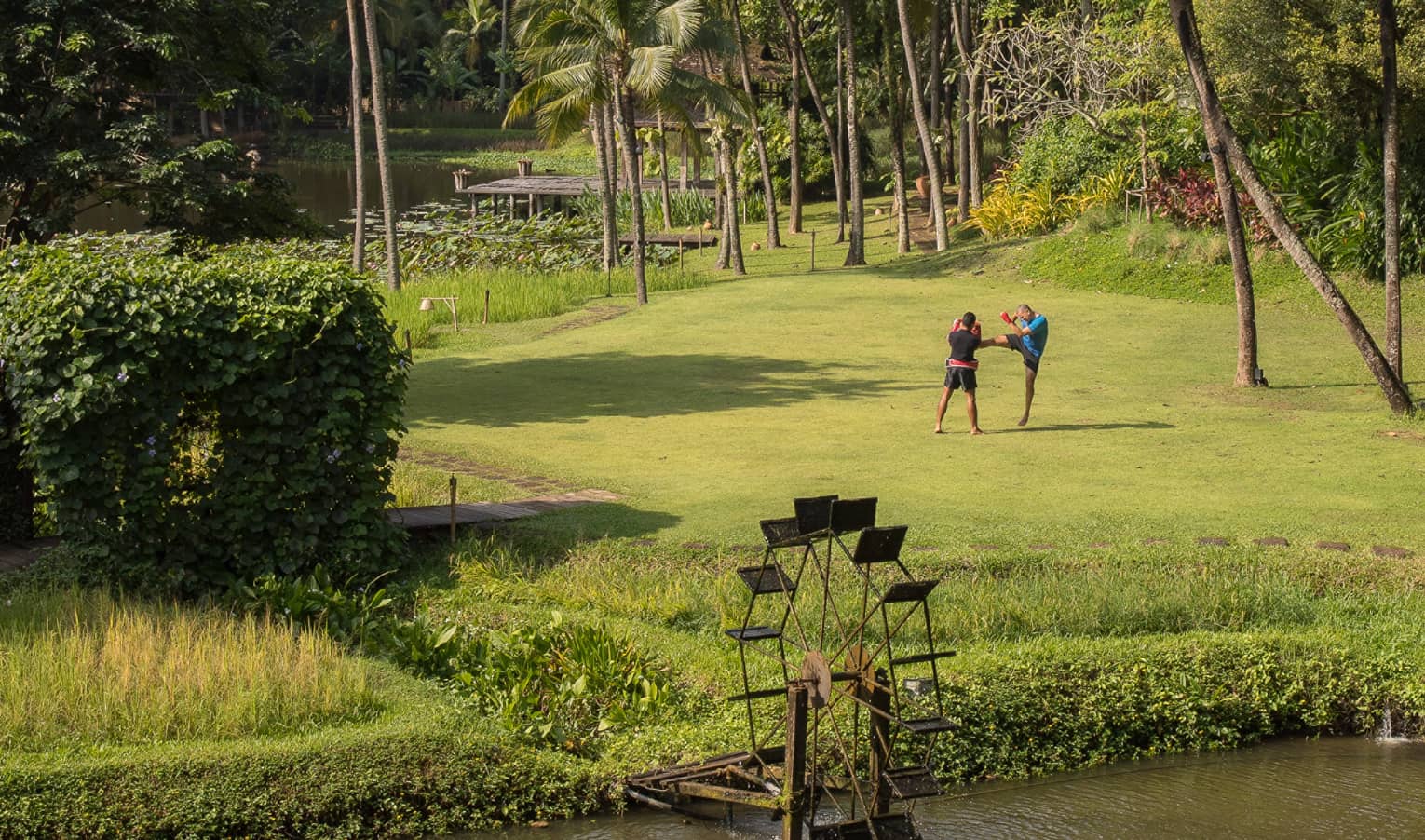 Long view of two boxers in a field, one kicking as the other blocks, dwarfed by soaring palms with a river in the foreground.