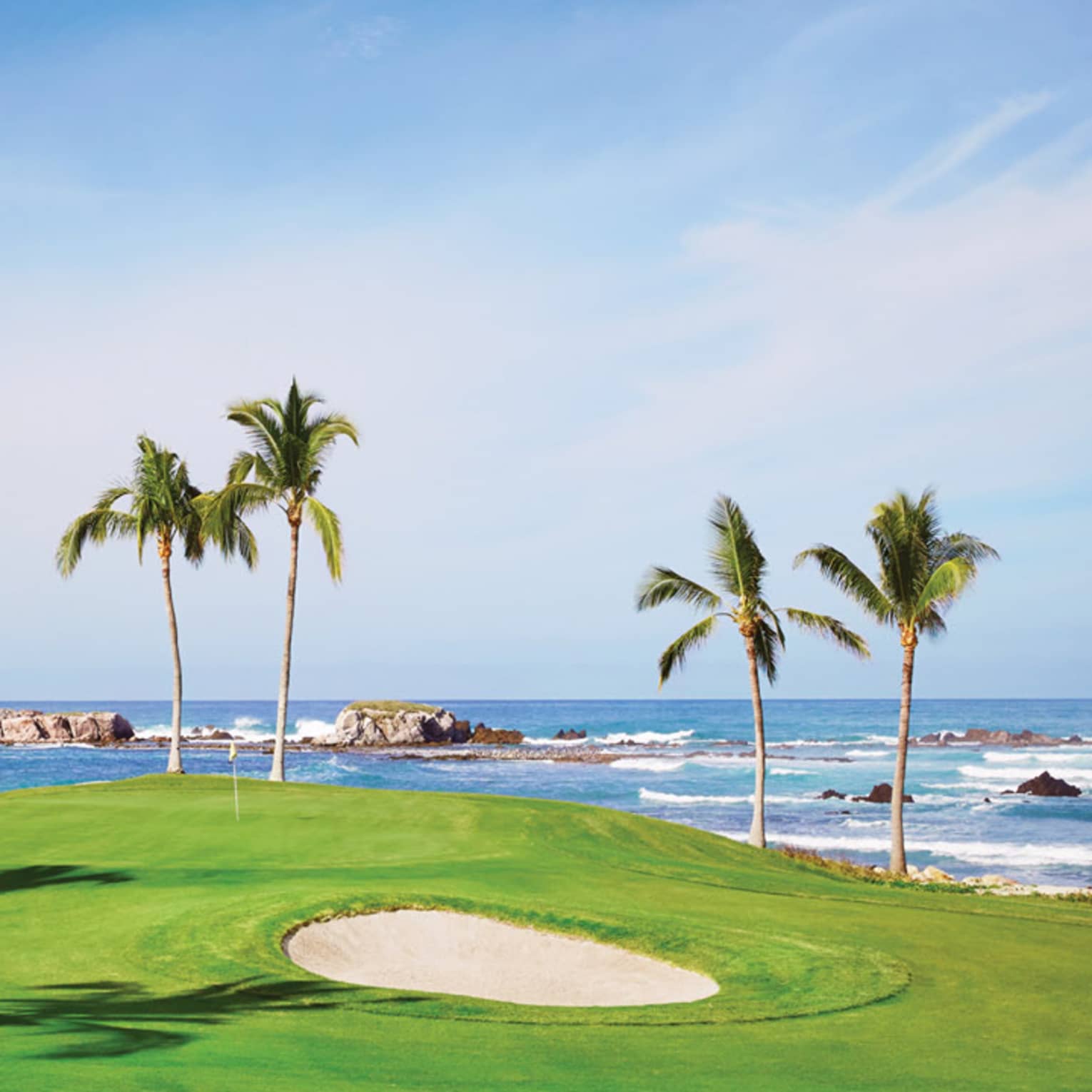 Green golf course right on ocean with pairs of tall palm trees 