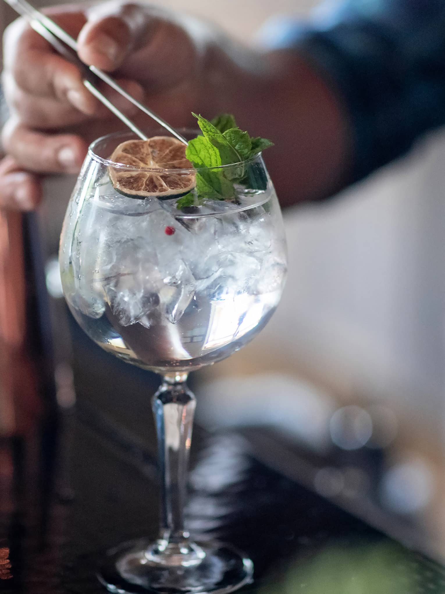 A clear cocktail with an orange wheel and herbs.