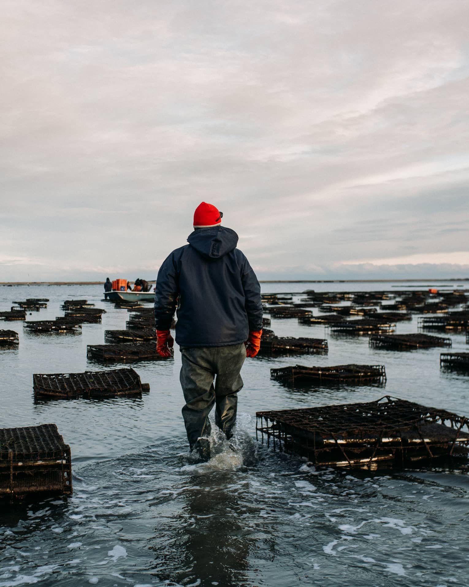 Rear view of an oyster farmer in a red hat wading through shallow water amid floating oyster cages under a cloudy sky. 