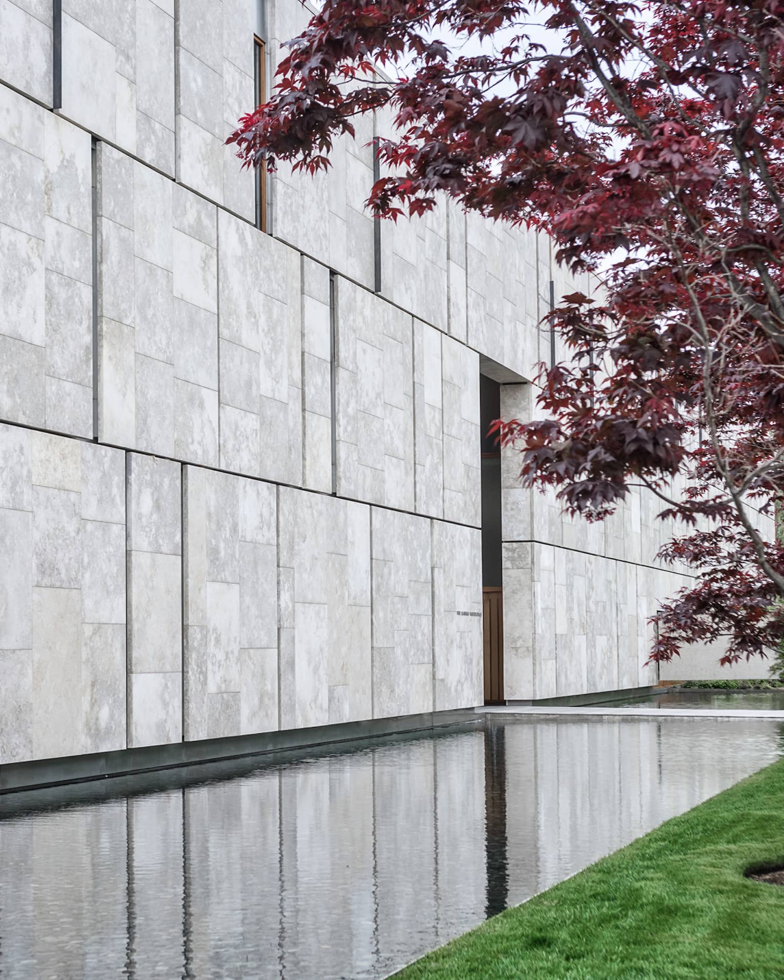 A tree with purple leaves next to a a stone wall.
