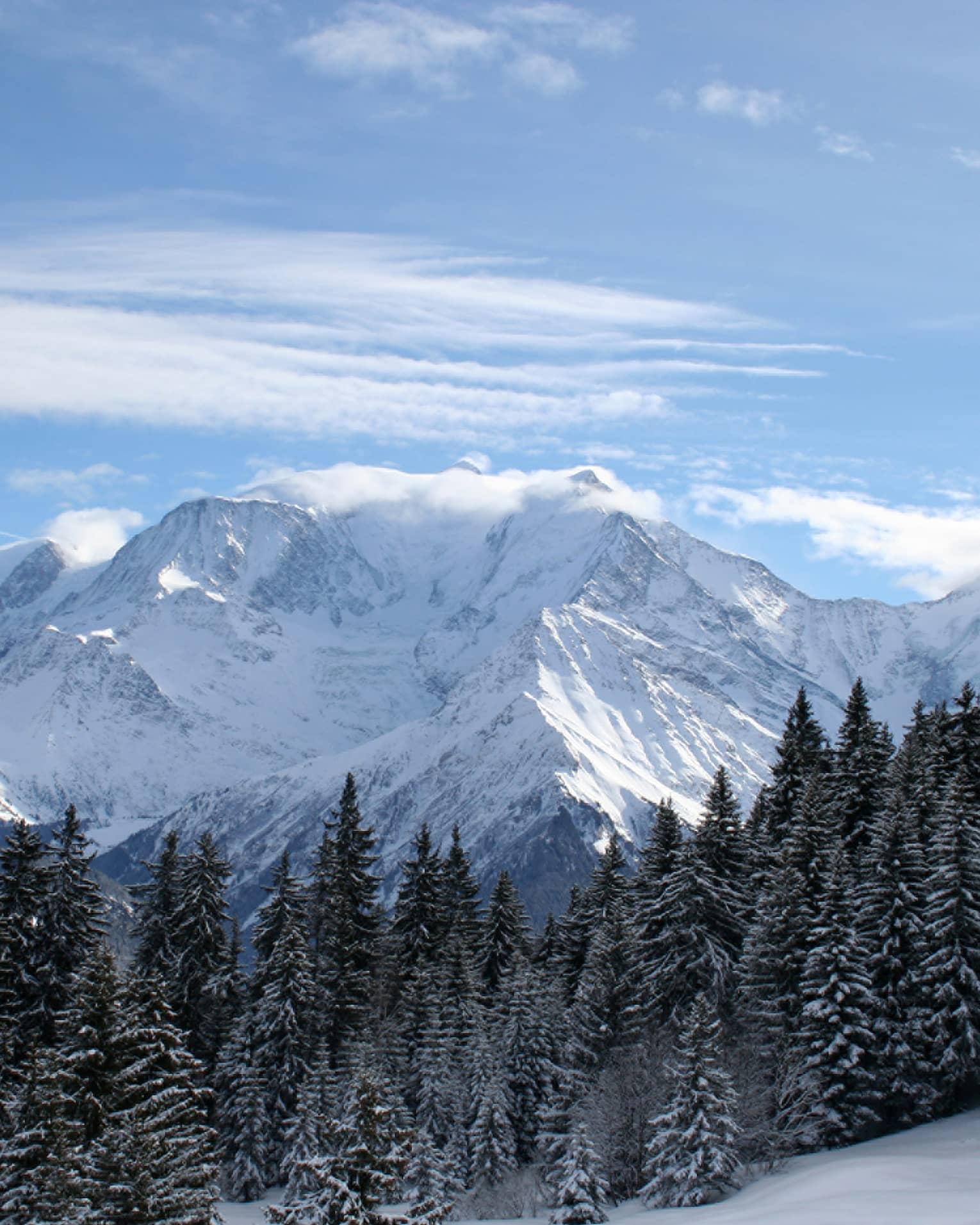 Snowy French Alps mountains over trees