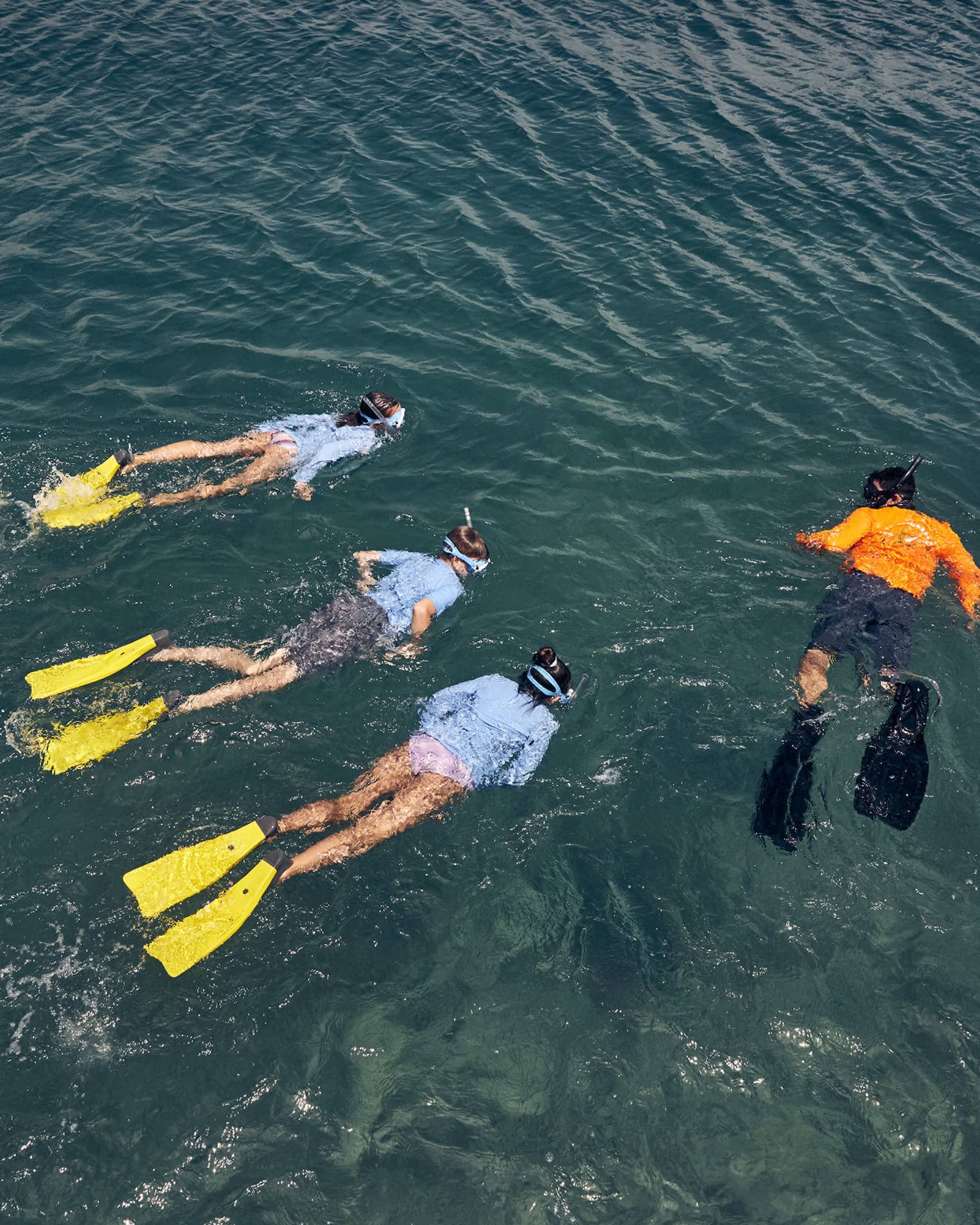Overhead view of three people wearing light-blue swim shirts and yellow flippers swim next to an instructor wearing an orange swim shirt and black flippers