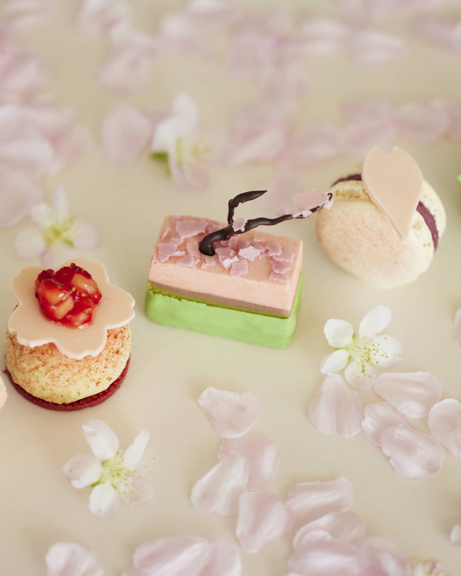 Row of Afternoon Tea sakura-themed sweets surrounded by cherry blossom petals