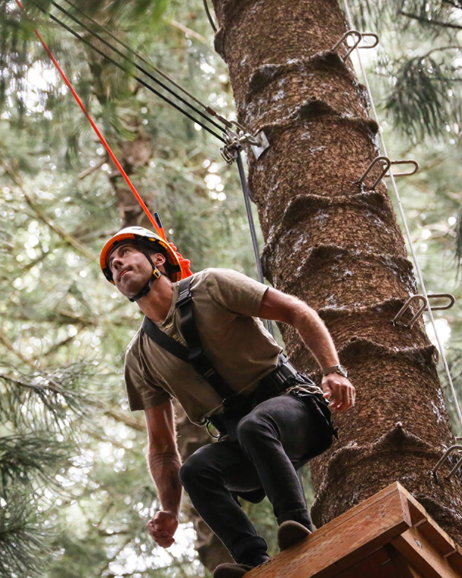 Man wearing harness and helmet prepares to leap from platform in tree