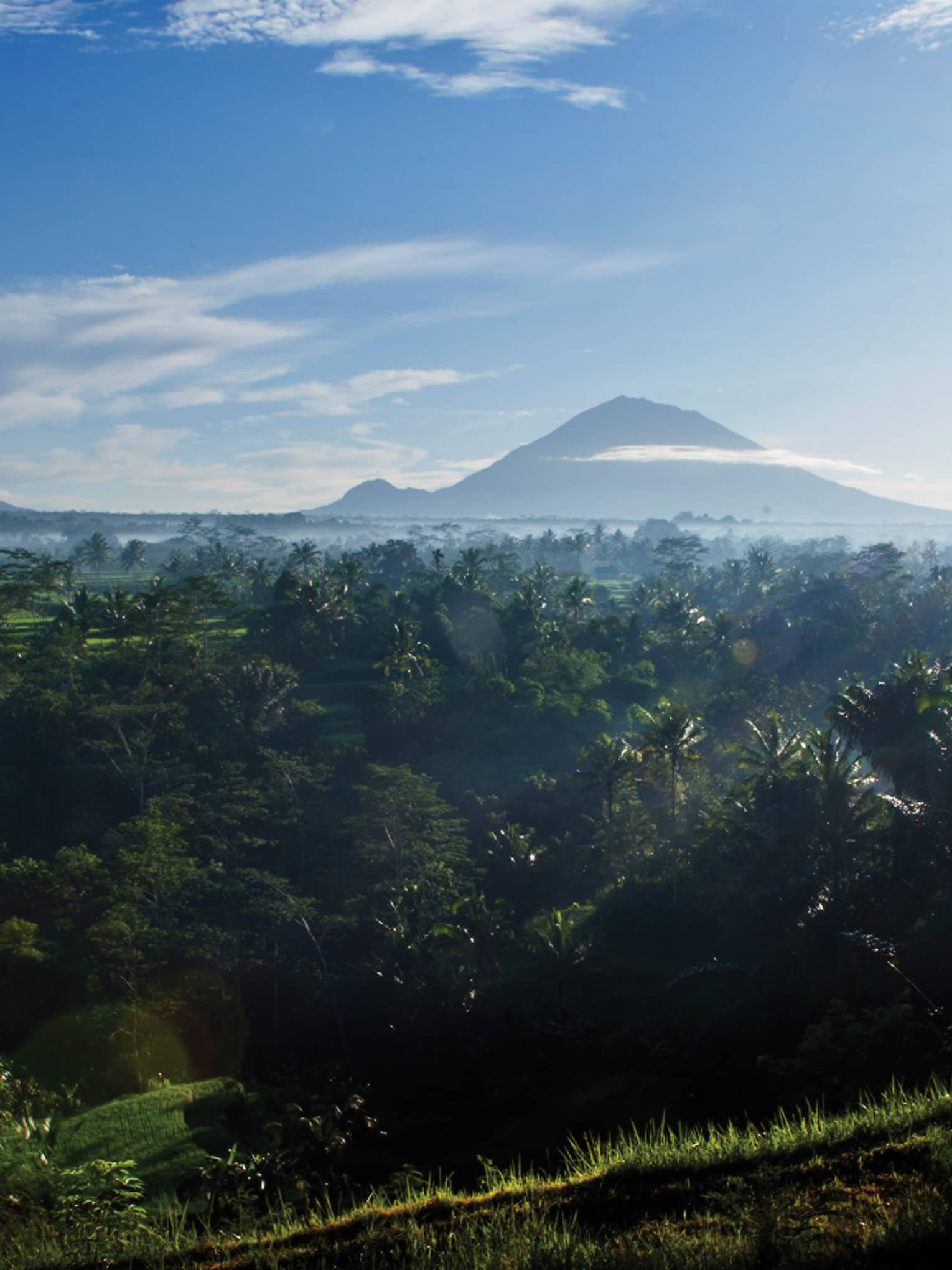 Distant volcanoes rise above the clouds and loom over a dense palm tree forest bathed in the glow of a blazing white sun.
