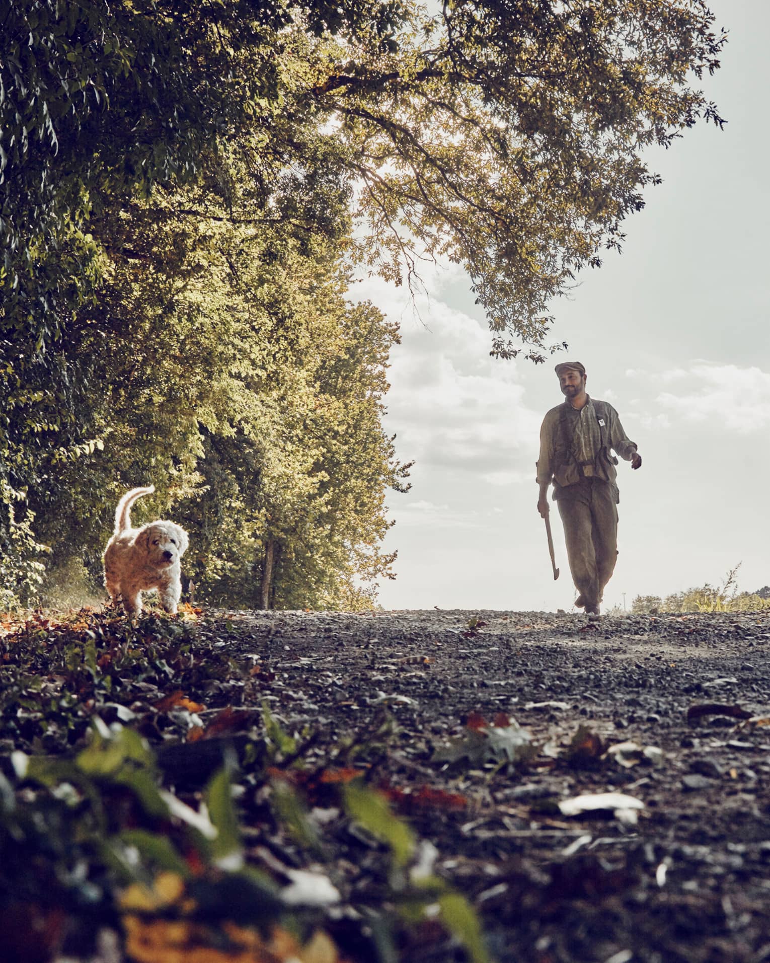 Man walks dog along tree-lined trail on country road 