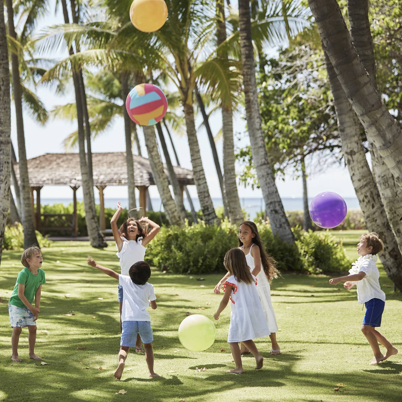 Group of children play with large colourful balls on green lawn under palm trees