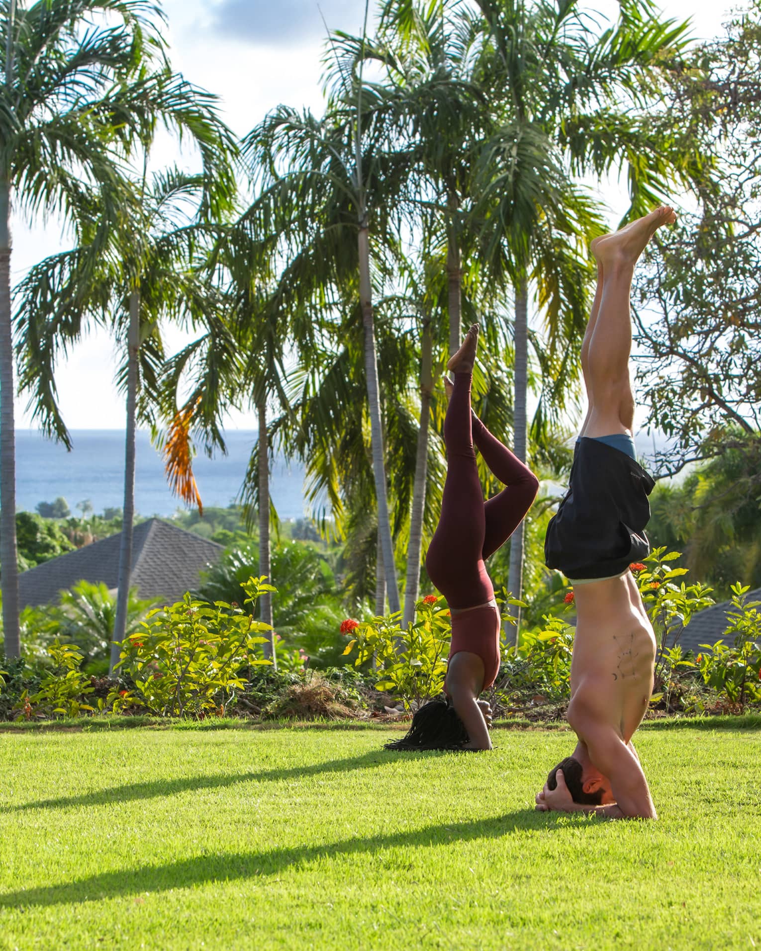 Two people doing yoga poses outside on the grass surrounded by palm trees.