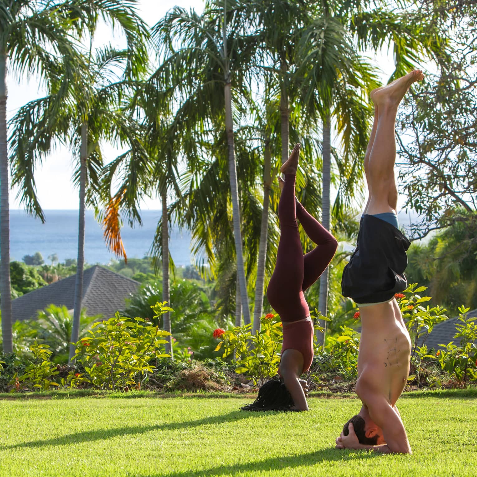 Two people doing yoga poses outside on the grass surrounded by palm trees.
