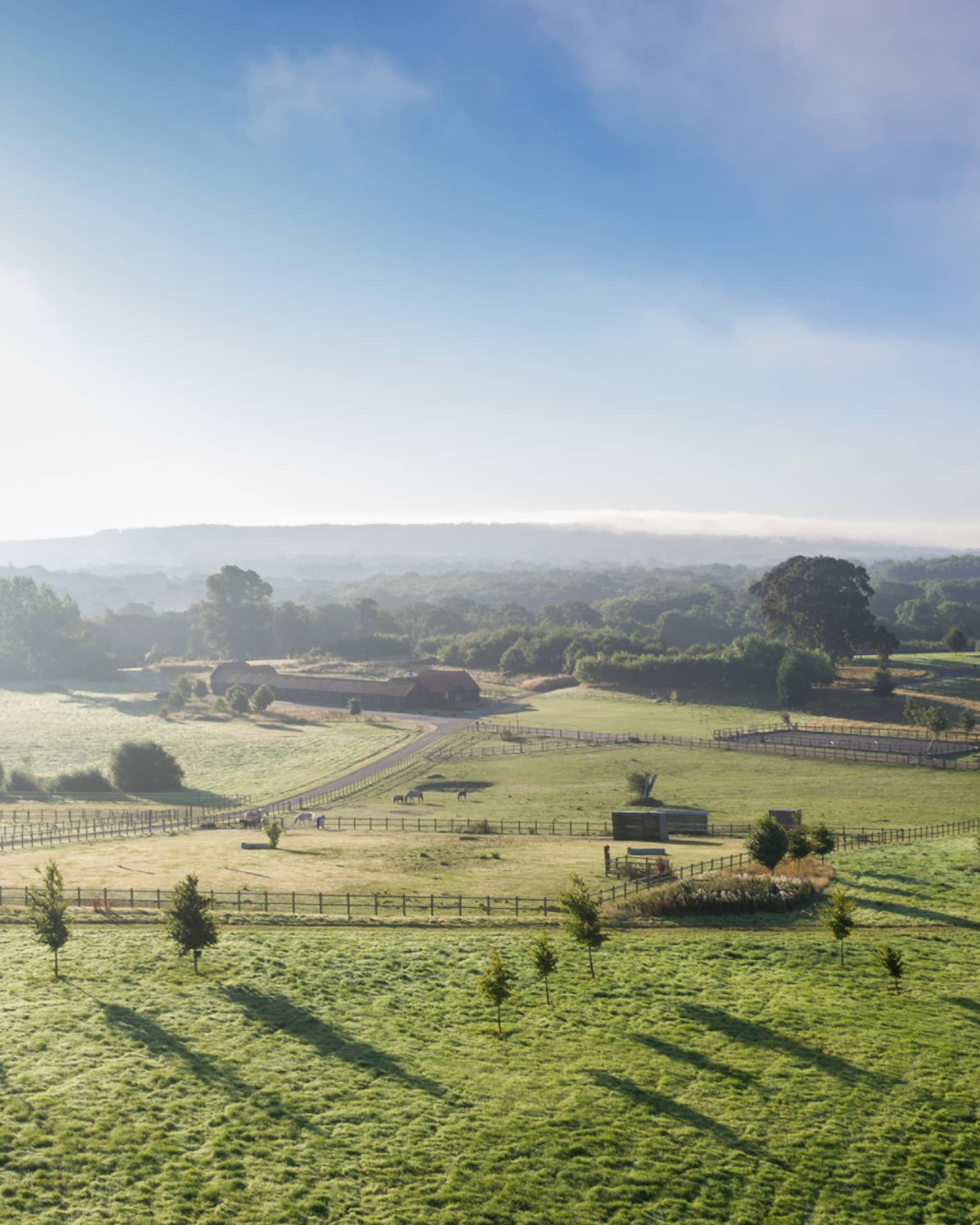 Green countryside dotted with trees under blue skies