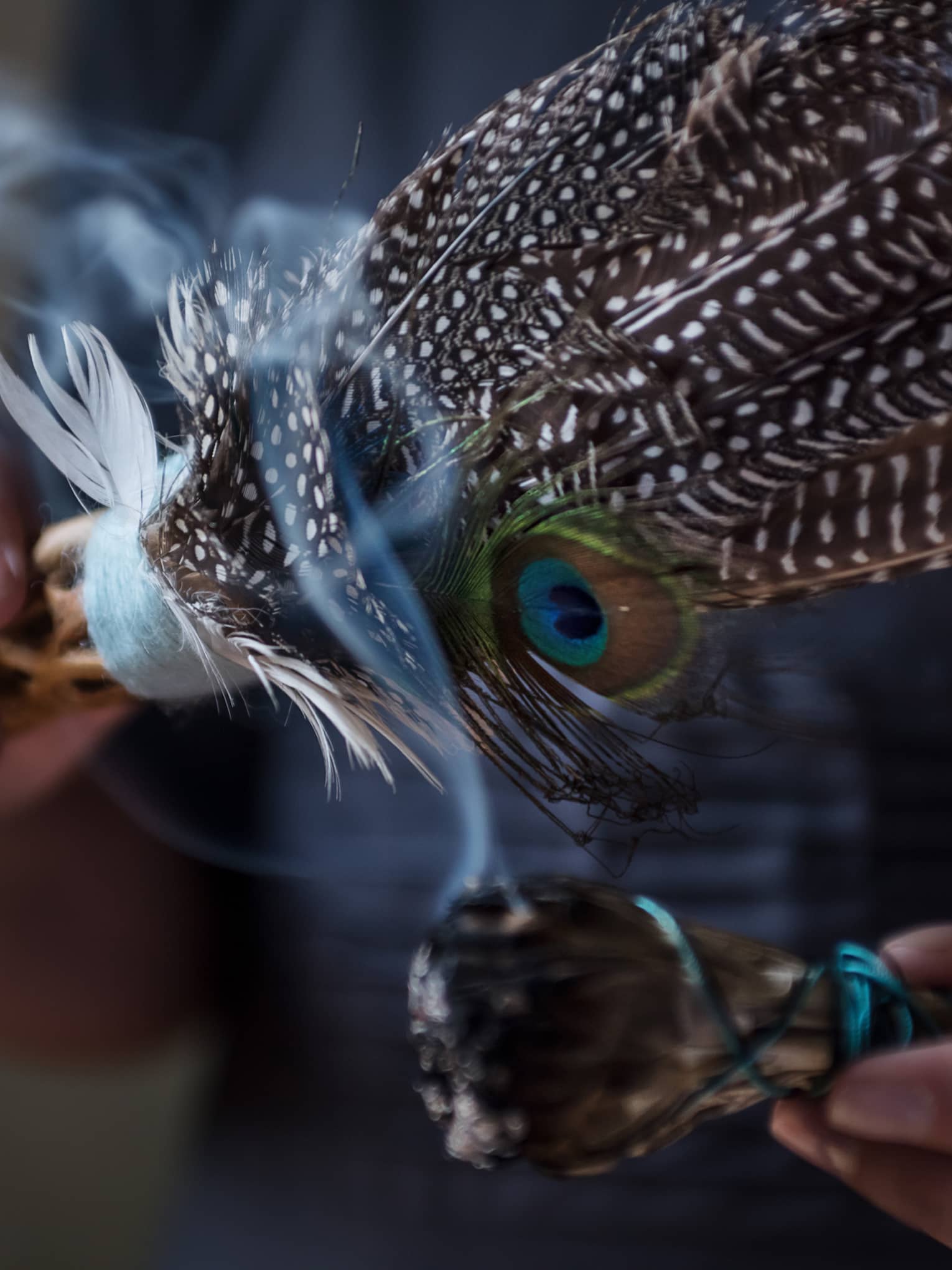 Close-up of smoke rising from sage, feathers used for smudging ceremony