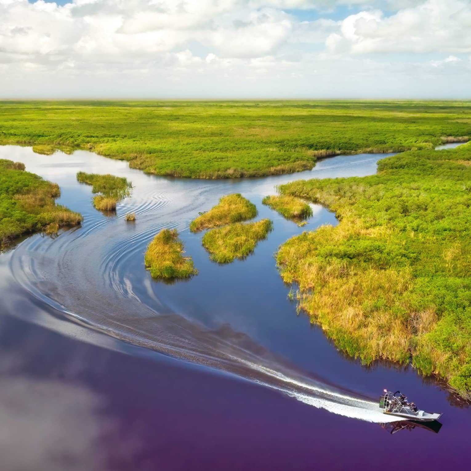Aerial view of a boat zooming through water in the Florida everglades