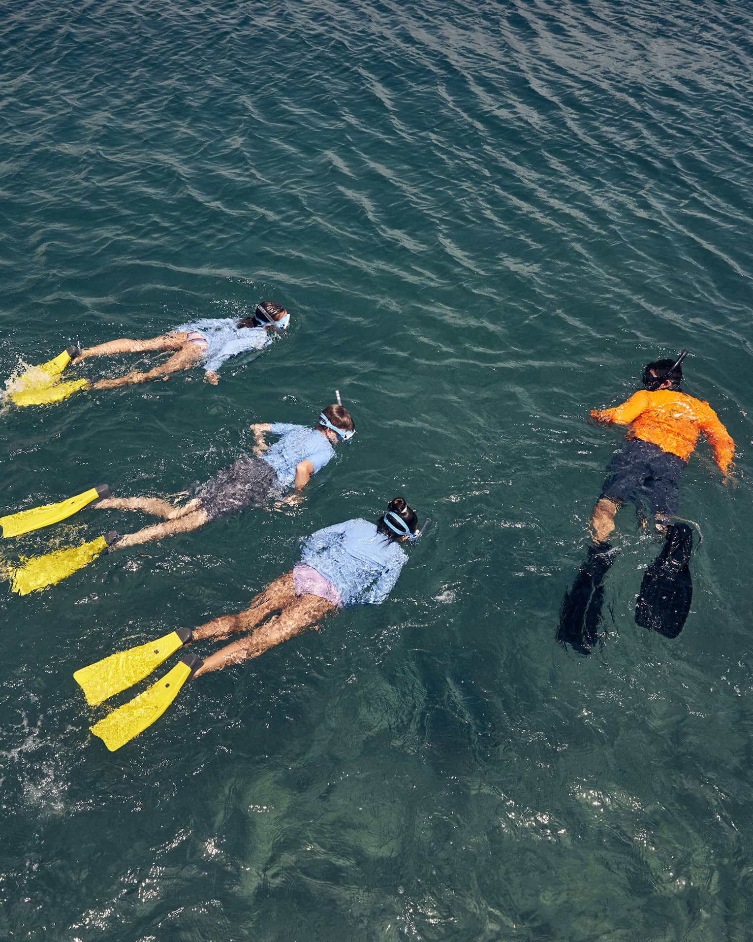 Overhead view of three people wearing light-blue swim shirts and yellow flippers swim next to an instructor wearing an orange swim shirt and black flippers