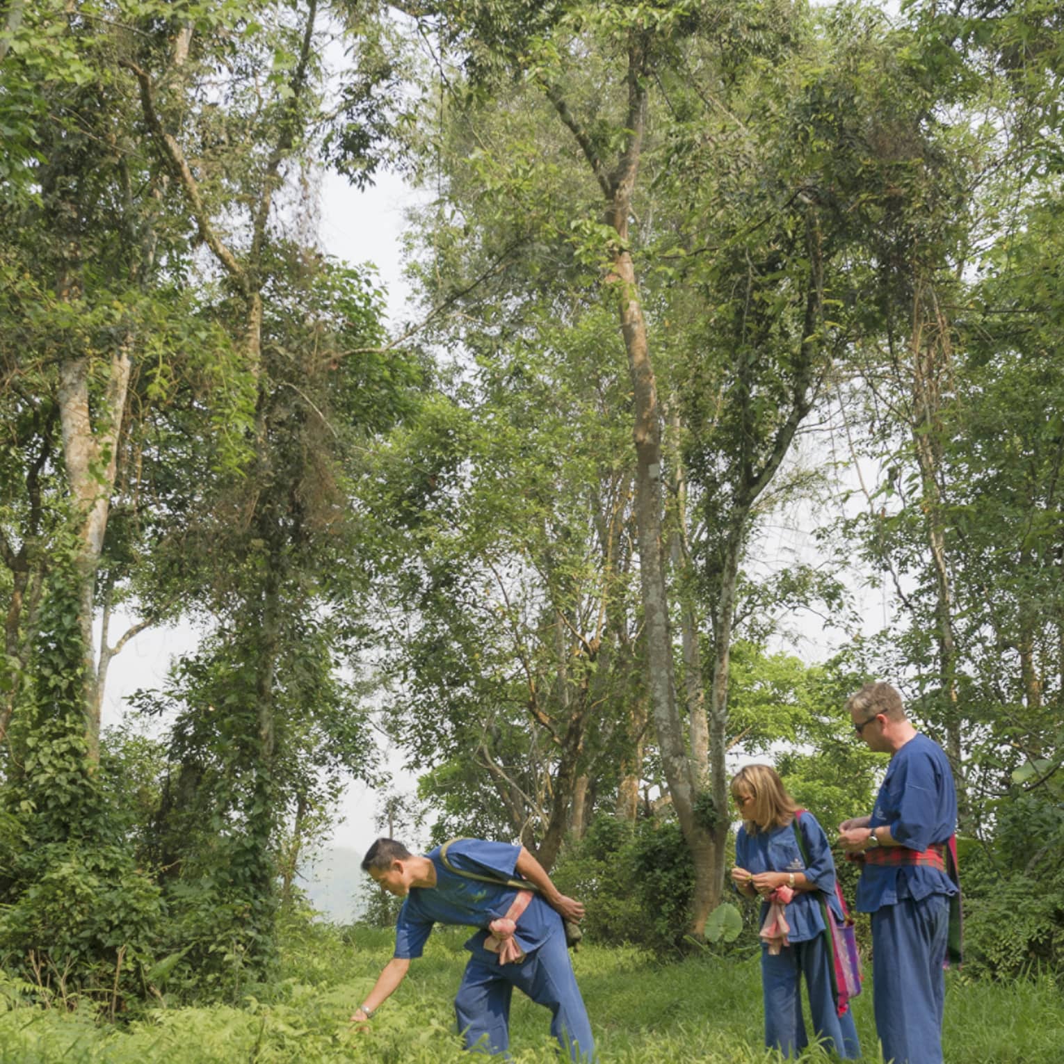 Three guests in loose denim pants and belted smocks stand in a clearing, two watching a third reach down into the tall grass.